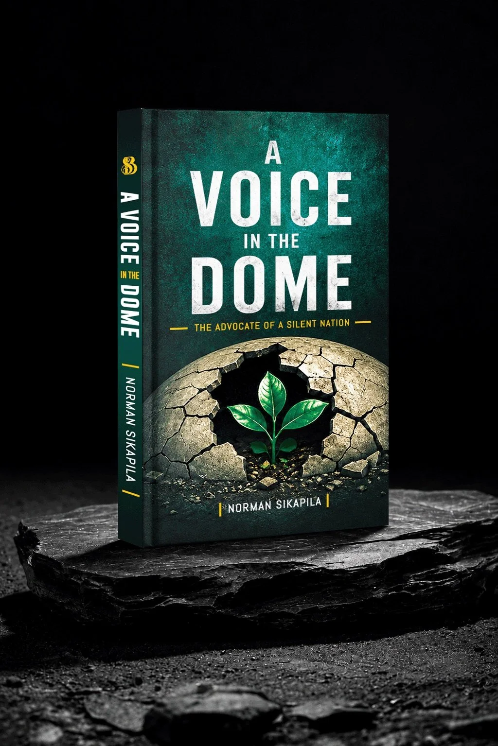 A Voice Under The Dome