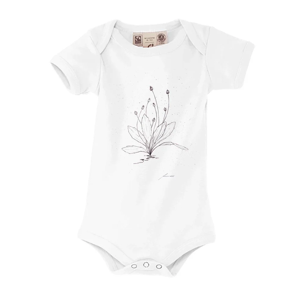 Llantén Body ecológico manga corta para bebé | SOL'S Organic Bambino