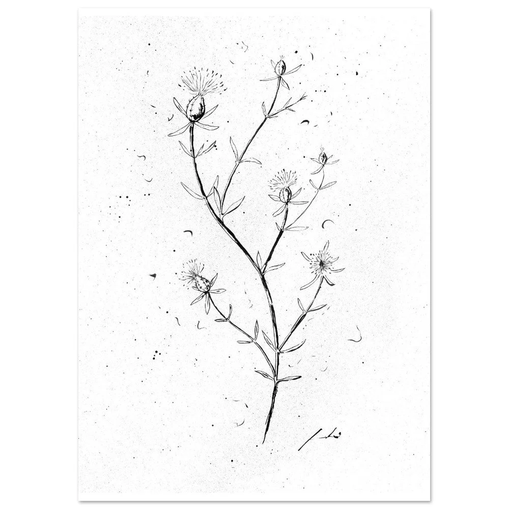 Bracera  Póster de papel mate prémium