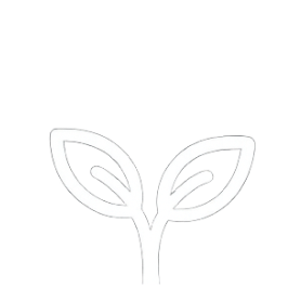 Simple white outline of a sprouting plant with two leaves.