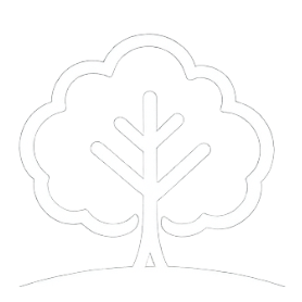 Simple white outline of a single oak tree.