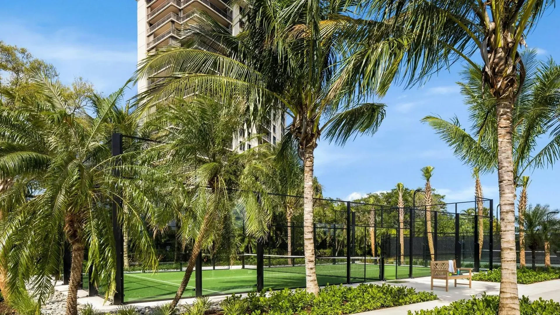 A sunny day at a tennis court surrounded by tall palm trees and lush greenery, with a high-rise building in the background.