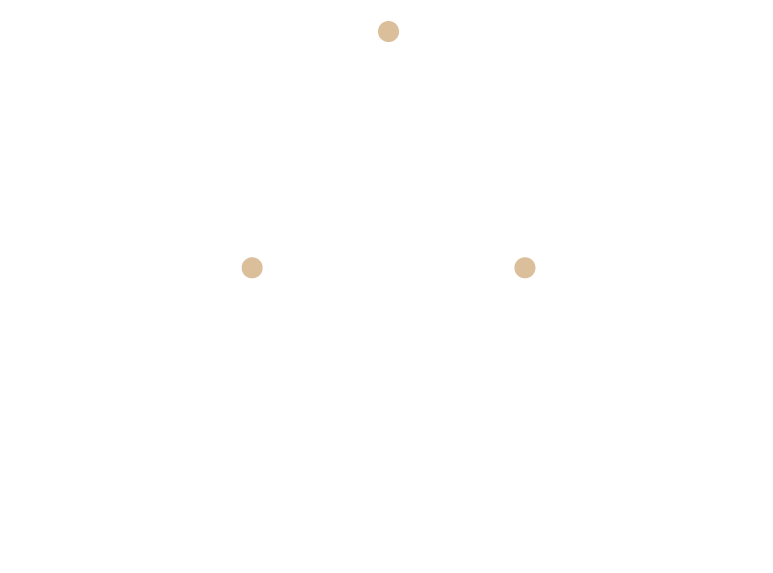Logo for Meridian Alignment Model featuring three intersecting white circles and text.