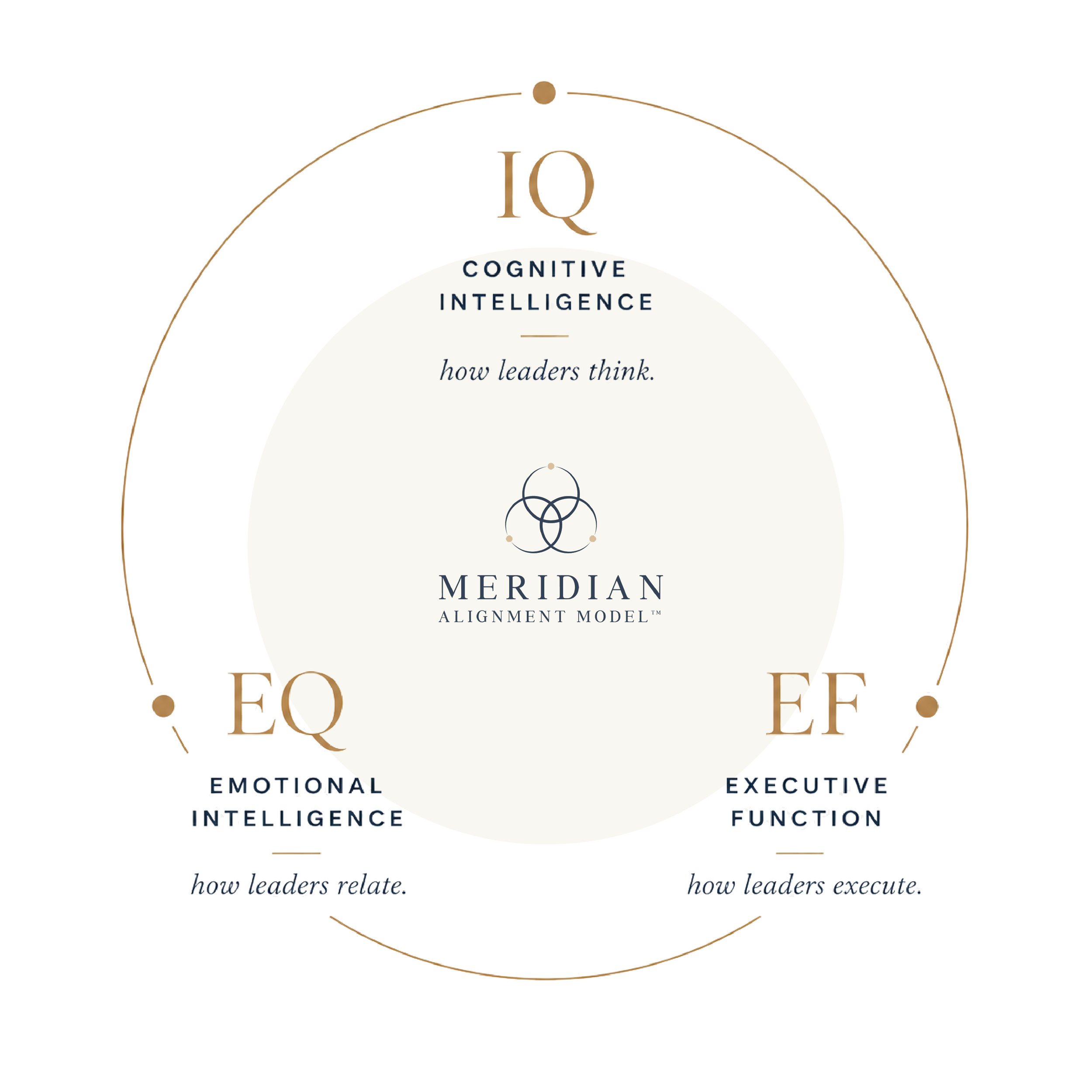 Leading Meridian | Executive Coaching | Leadership Consulting