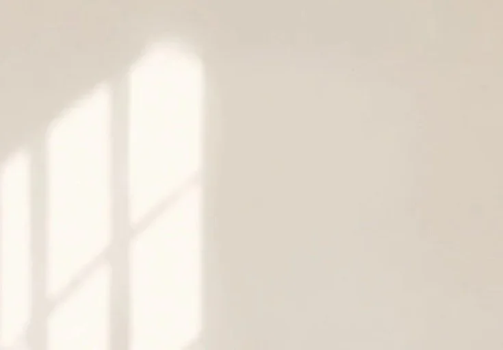 Soft sunlight casting shadows through window blinds onto a plain wall.