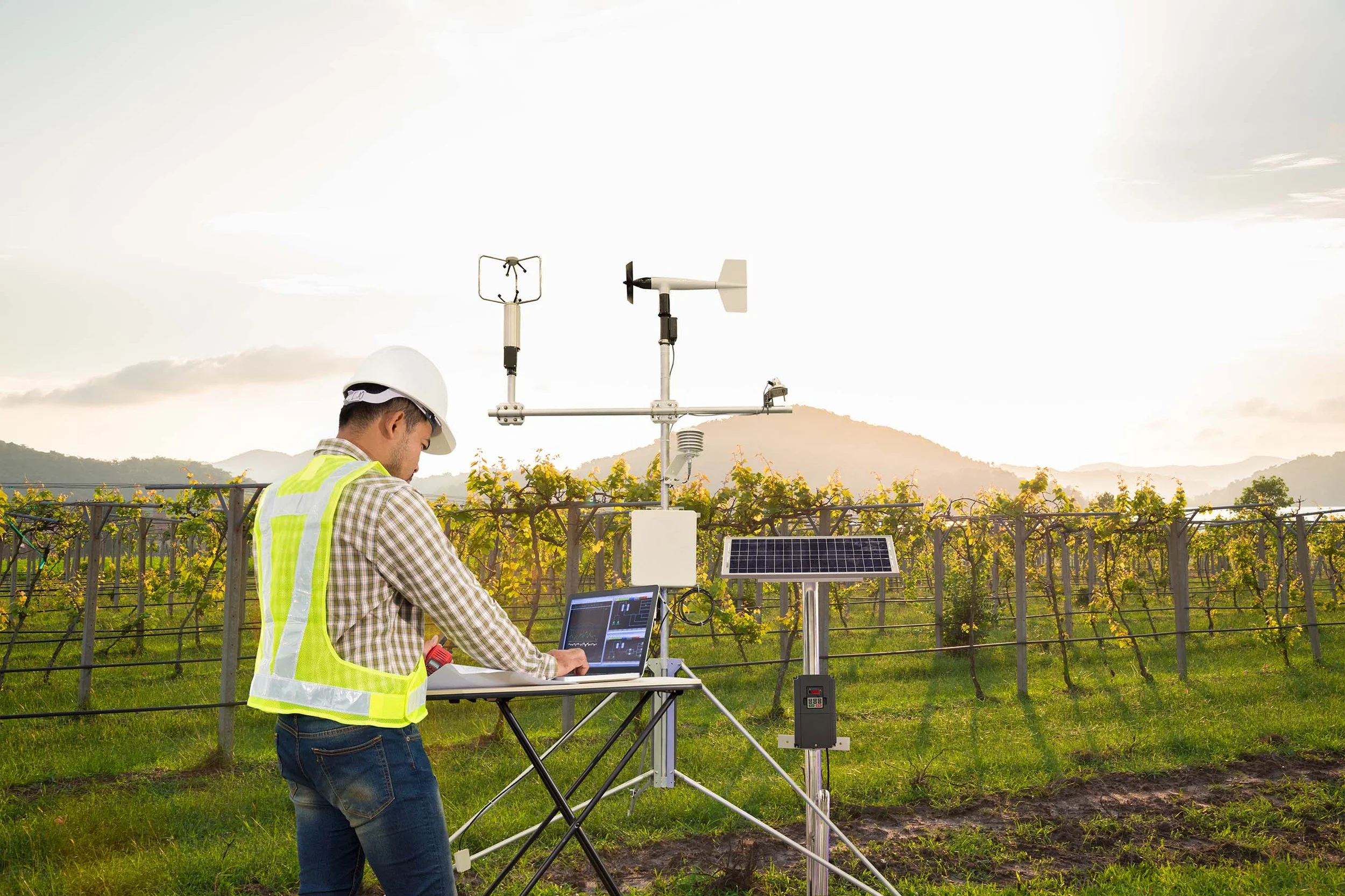 male farmer using technology to analyze crops