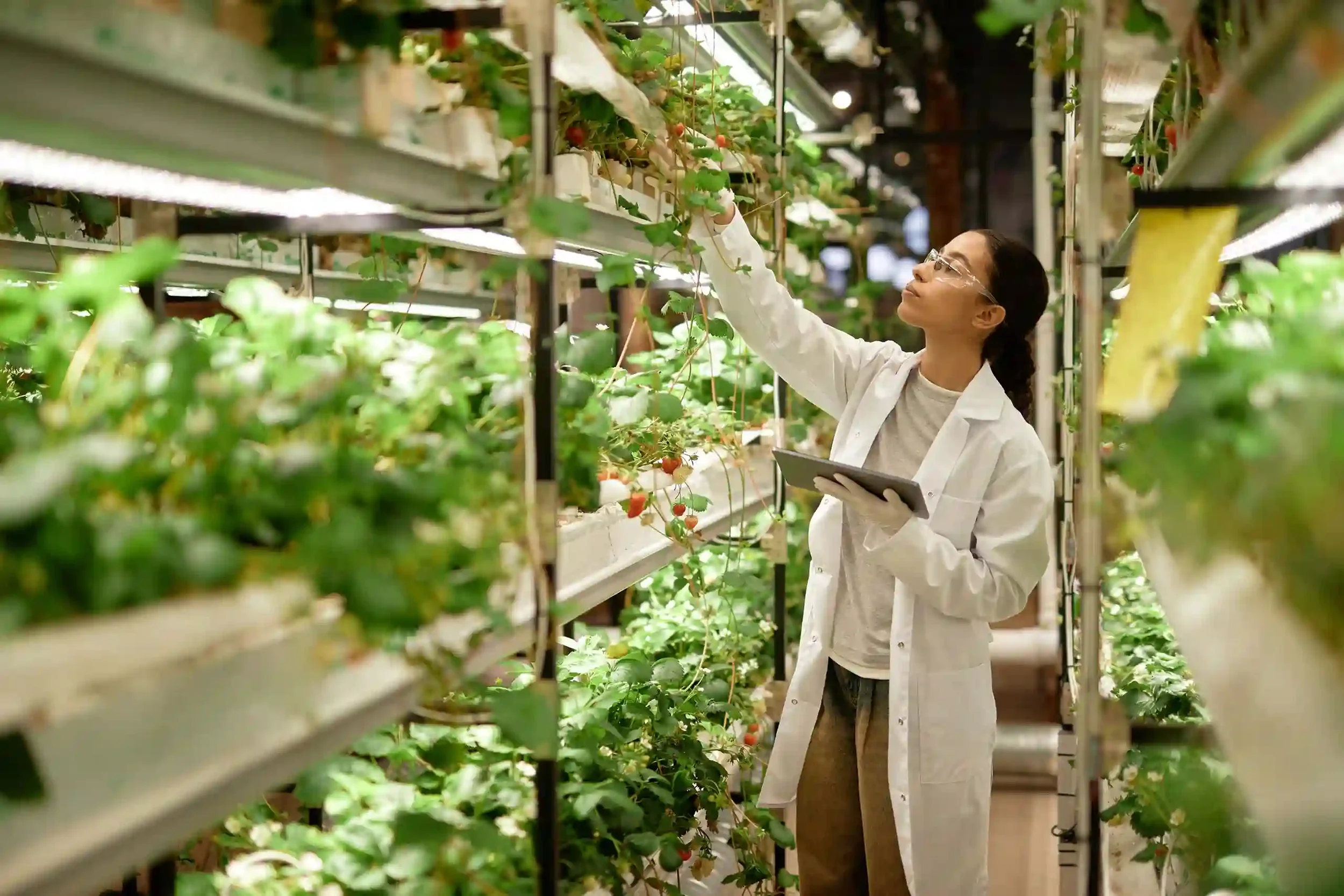 food scientist and biochemist analyzing plants and tomatoes