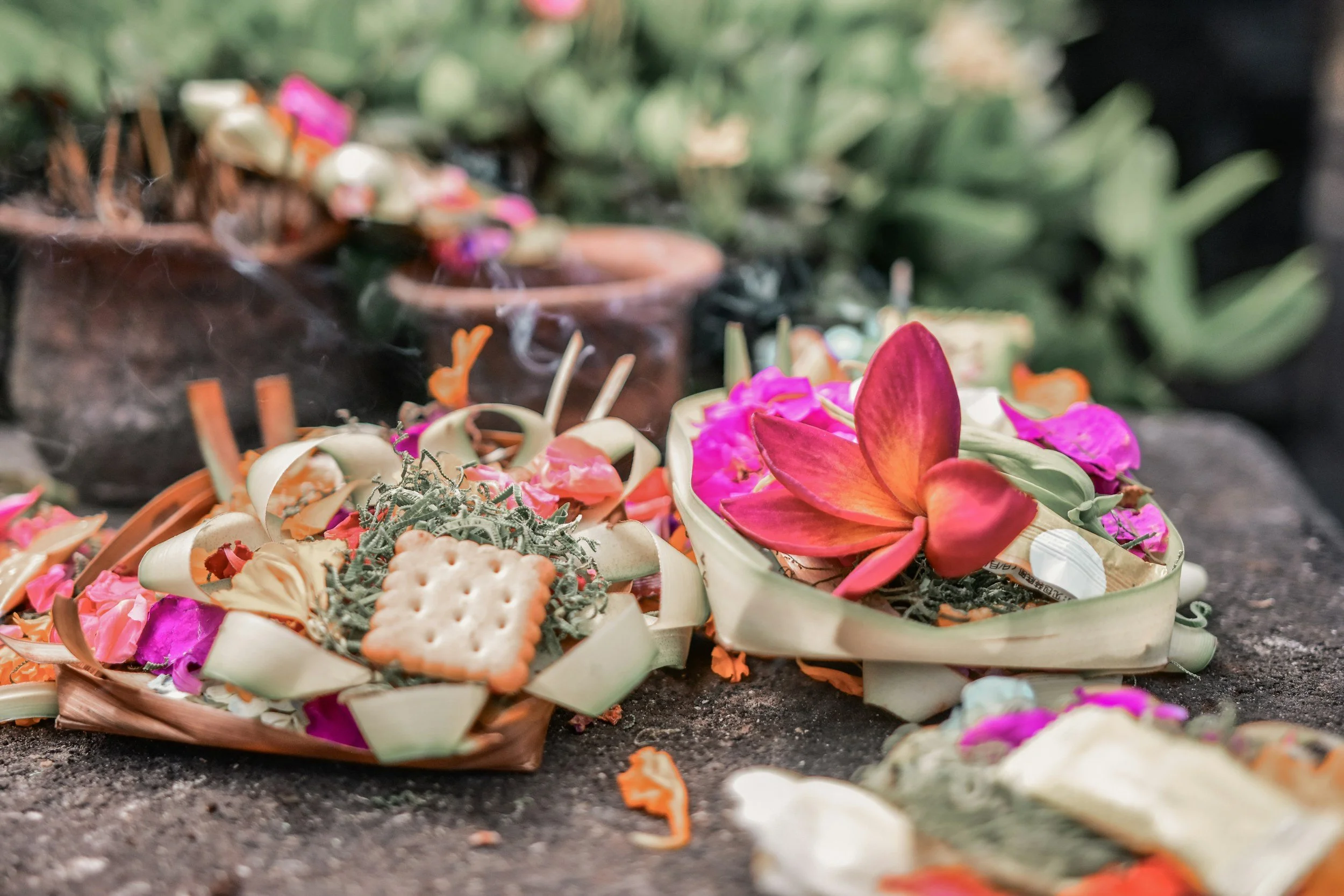 Colorful flower petals and decorative items scattered on the ground, with a blurred background of green plants.
