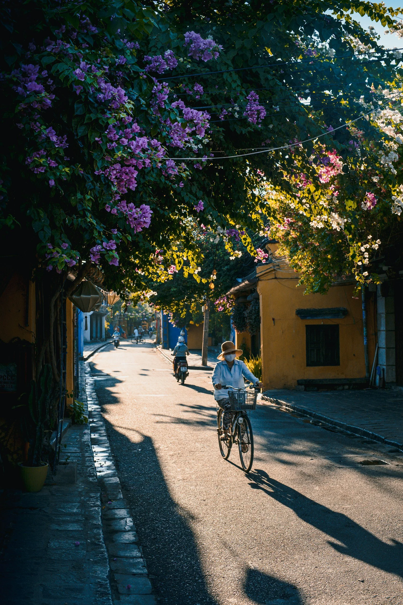 A street scene in a sunny village with cyclists riding along a narrow road. Bougainvillea flowers cascade from trees overhead, casting shadows on the pavement. Buildings with colorful walls line the street, creating a vibrant, peaceful atmosphere.