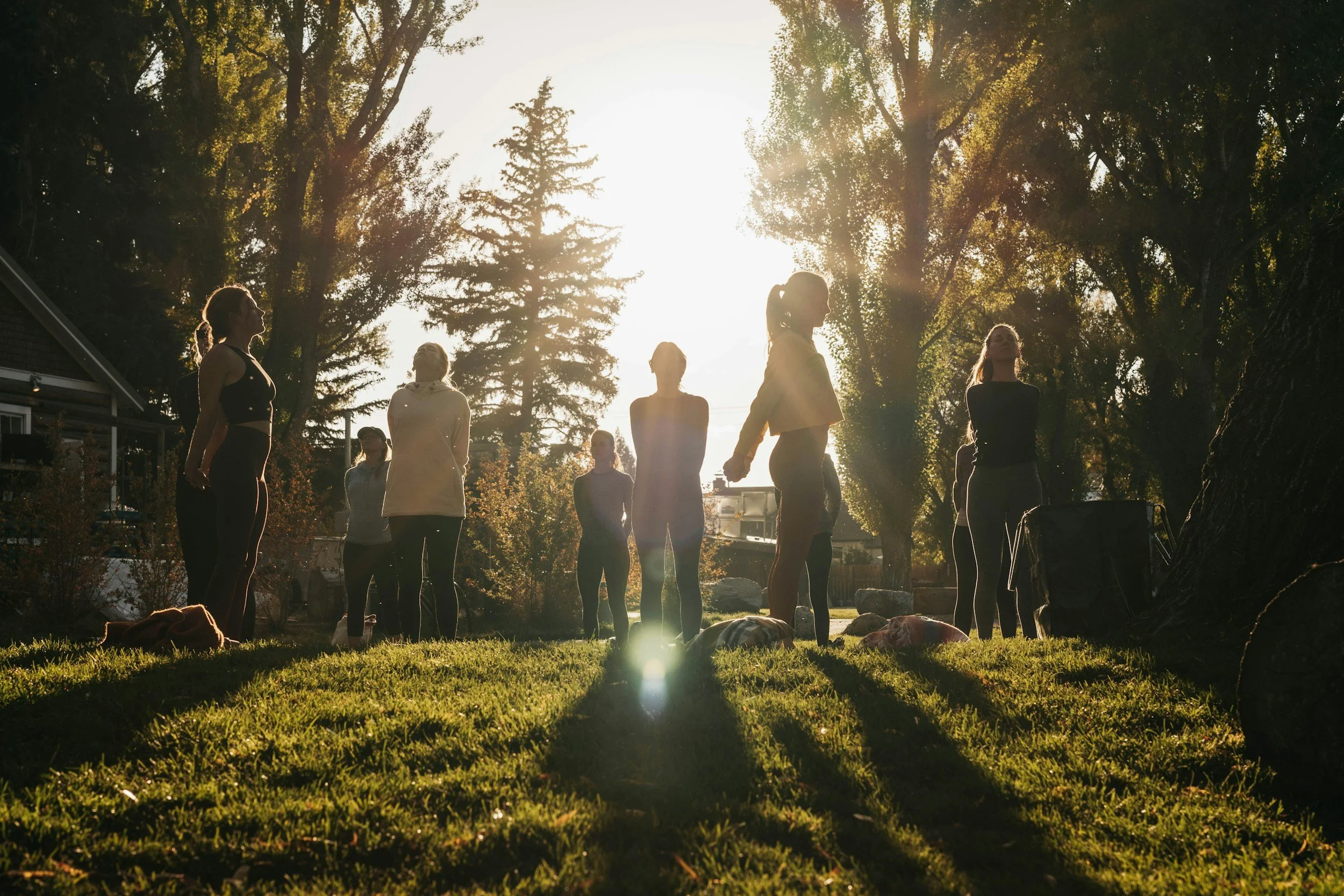 A group of women practicing yoga outdoors during sunset, standing on grass with trees and sunlight in the background.