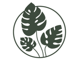 Illustration of three stylized monstera leaves inside a circle
