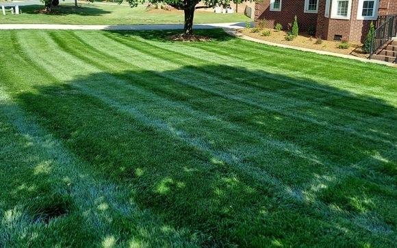 Well-maintained green lawn with mowing lines, a tree in the background, and a building with brick exterior.