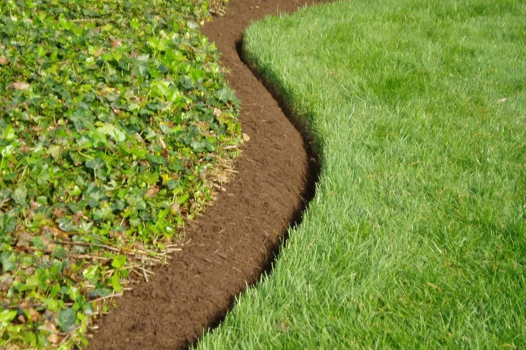 A curved garden bed with dark soil separating a hedge of green leafy plants on the left from a well-manicured green lawn on the right.