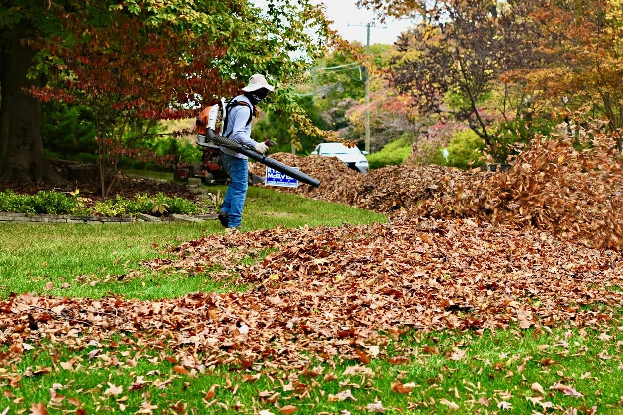 A person wearing a hat, face mask, and backpack blowing leaves in a yard using a leaf blower during fall, with trees with colorful foliage and a white car in the background.