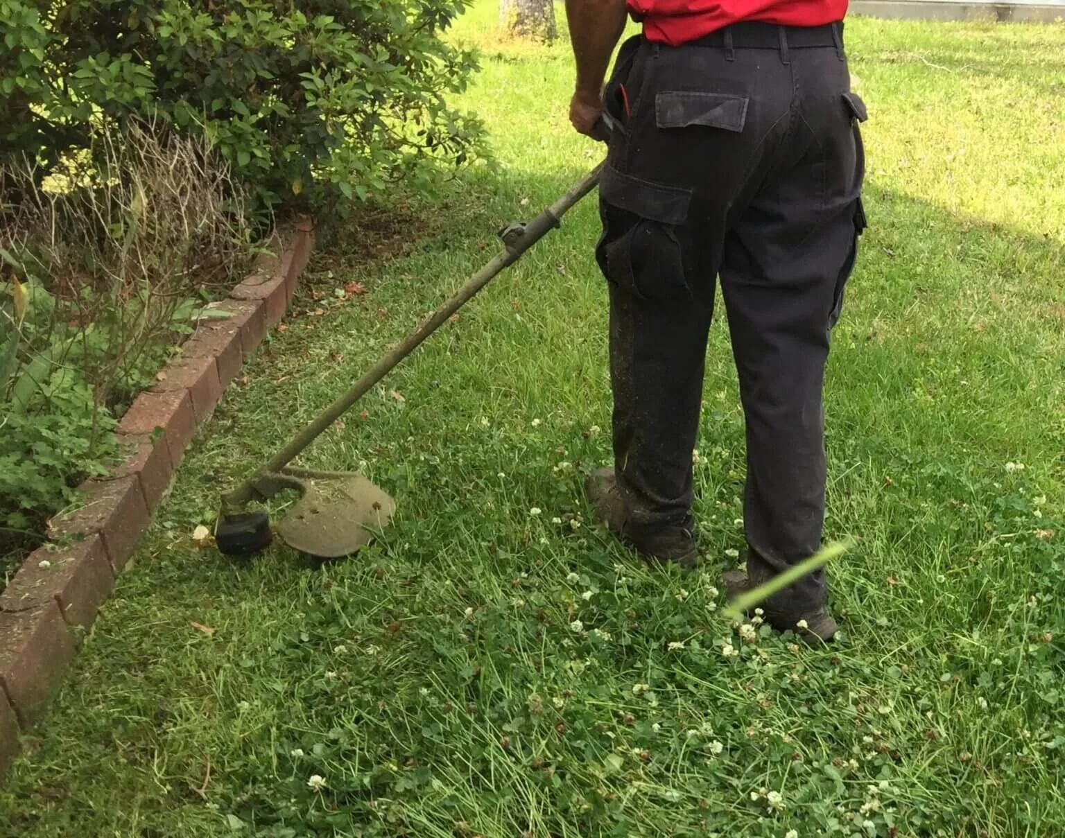 Person wearing black pants and a red shirt using a lawn trimmer on grass near a brick-edged flower bed.