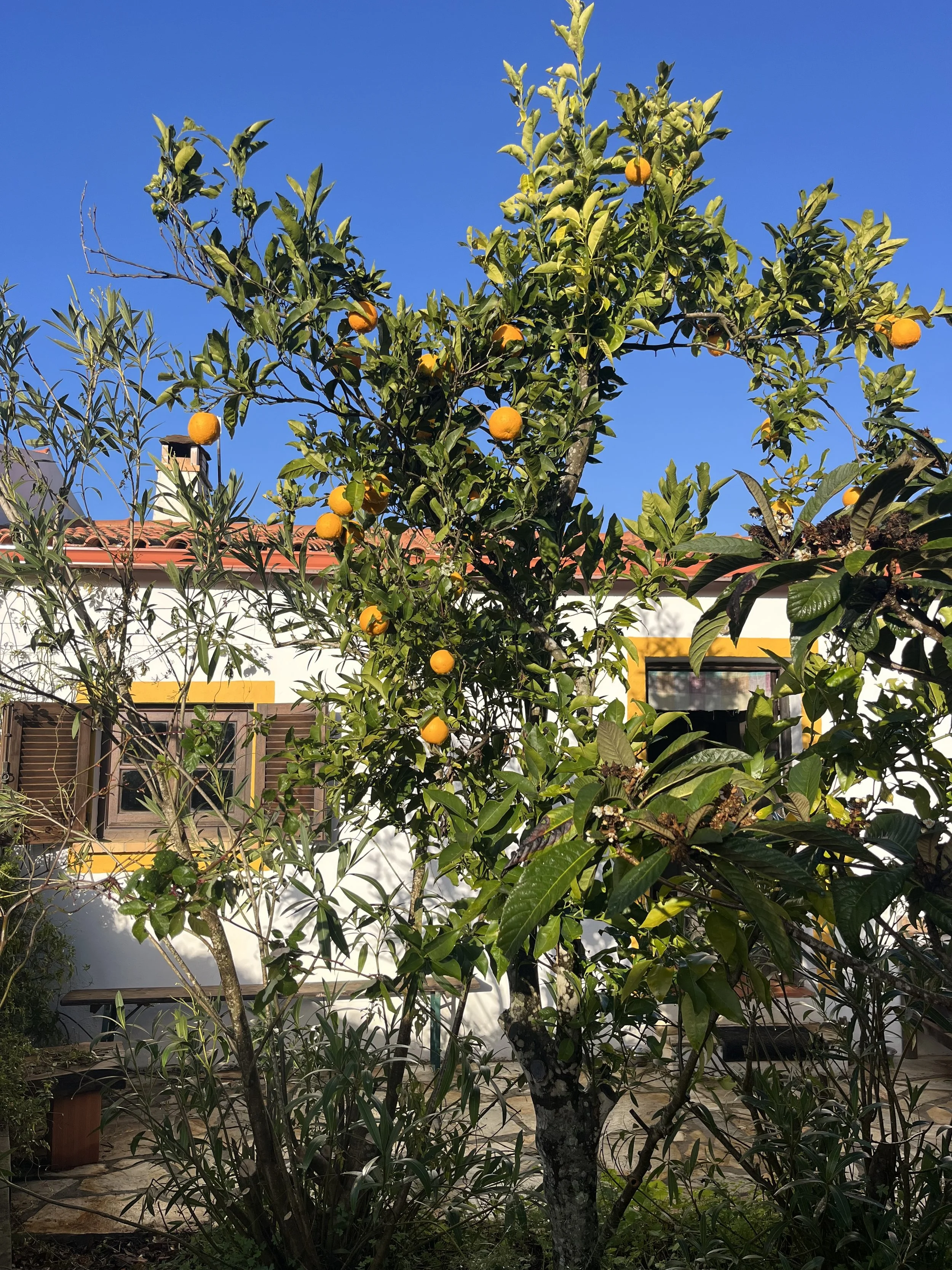 Privé Retreat Portugal