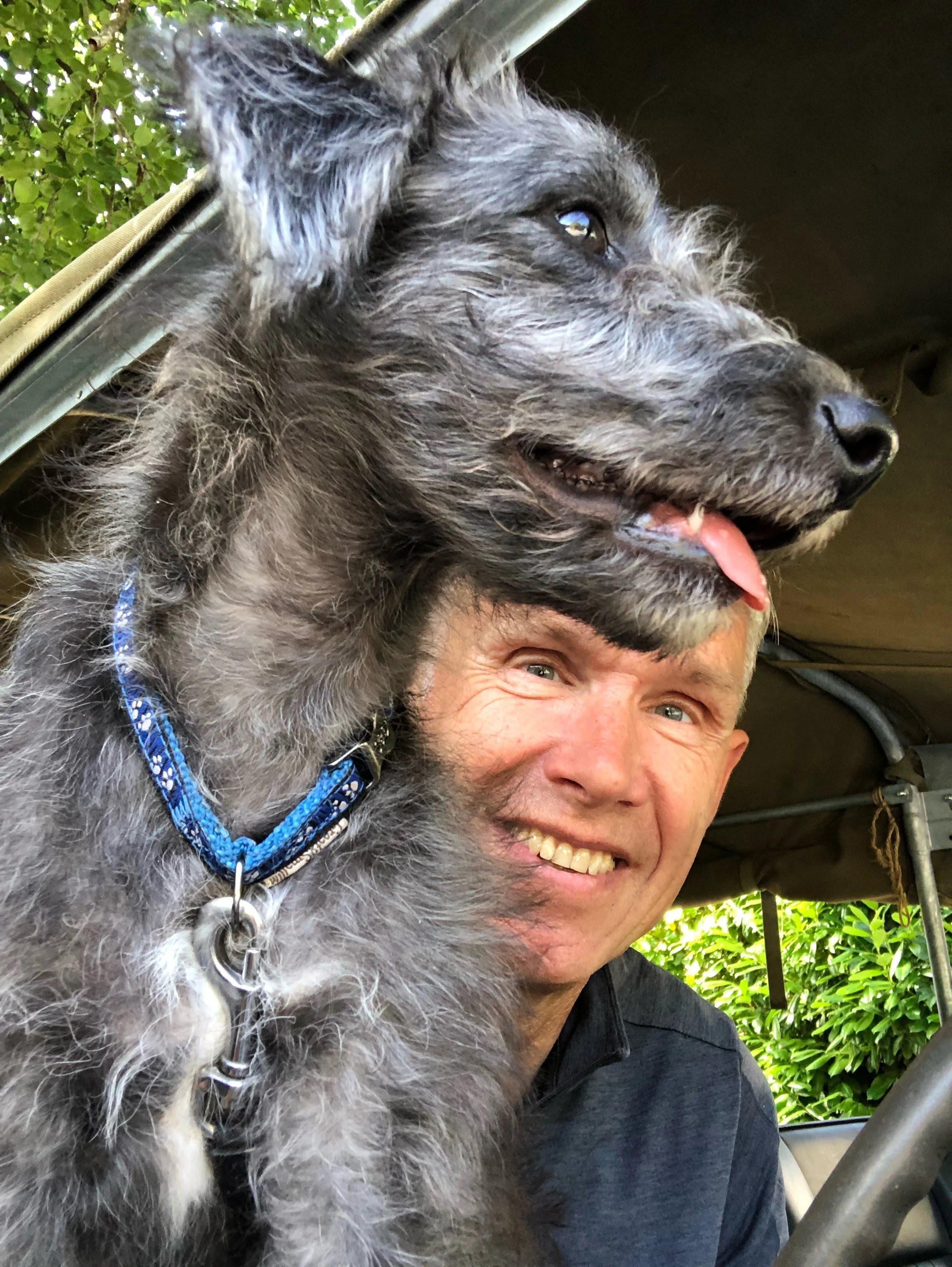 A smiling man with a dog in a vehicle. The dog, with gray and black fur, is in the foreground and has its mouth open and tongue out.