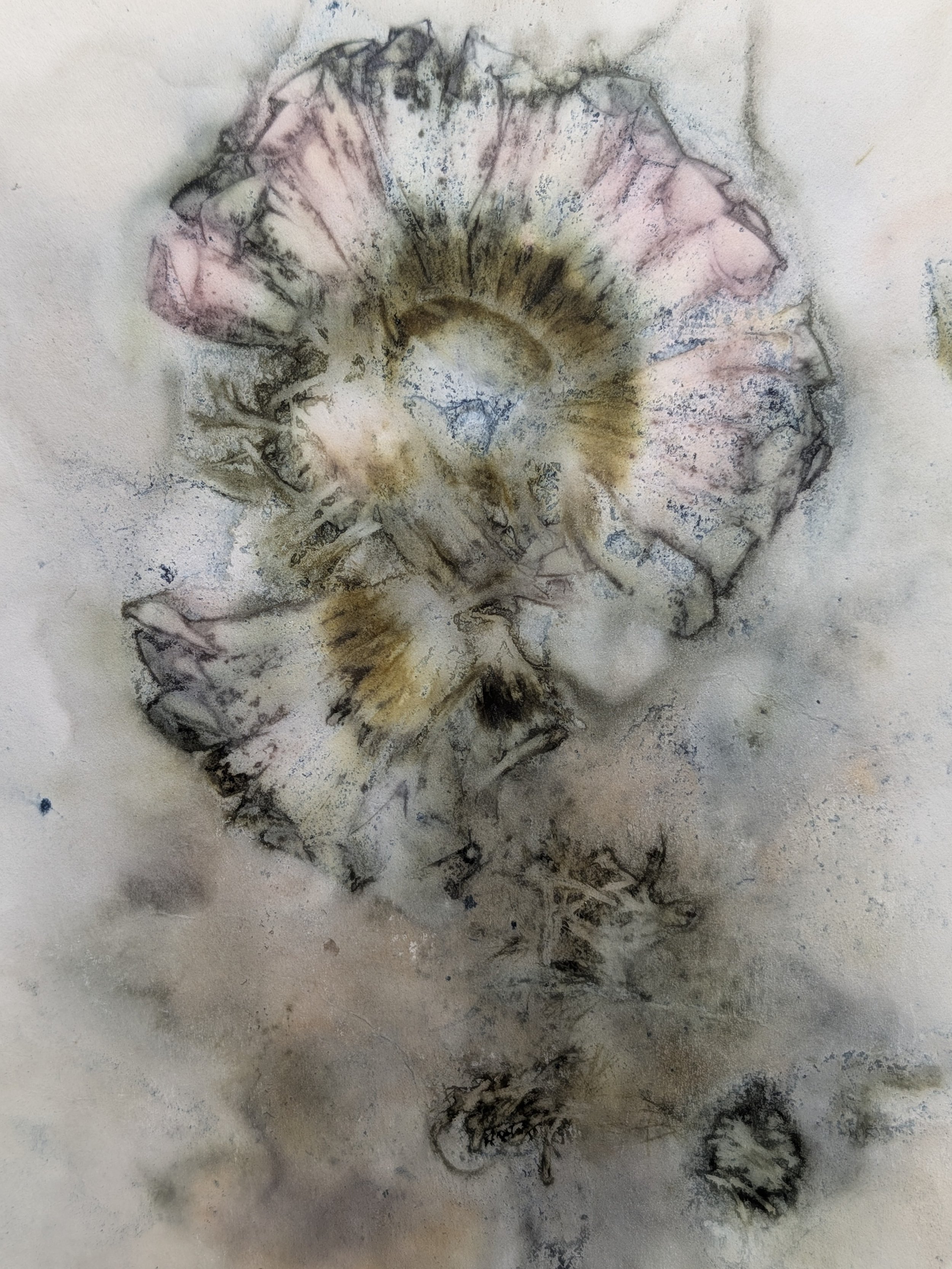 Print 6