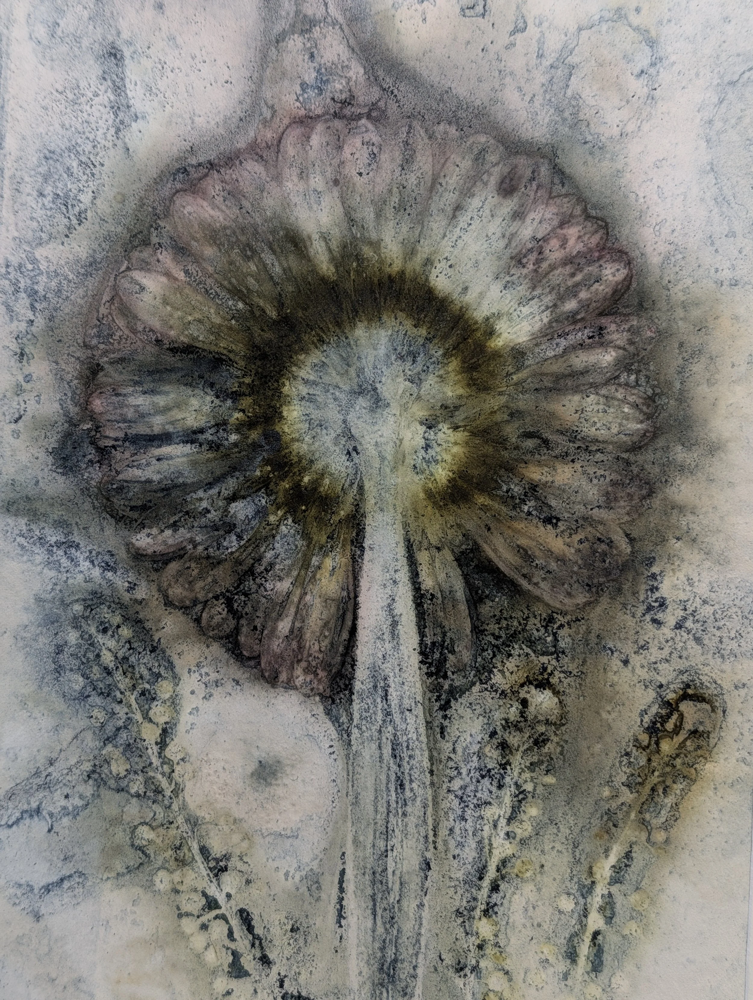 Print 5