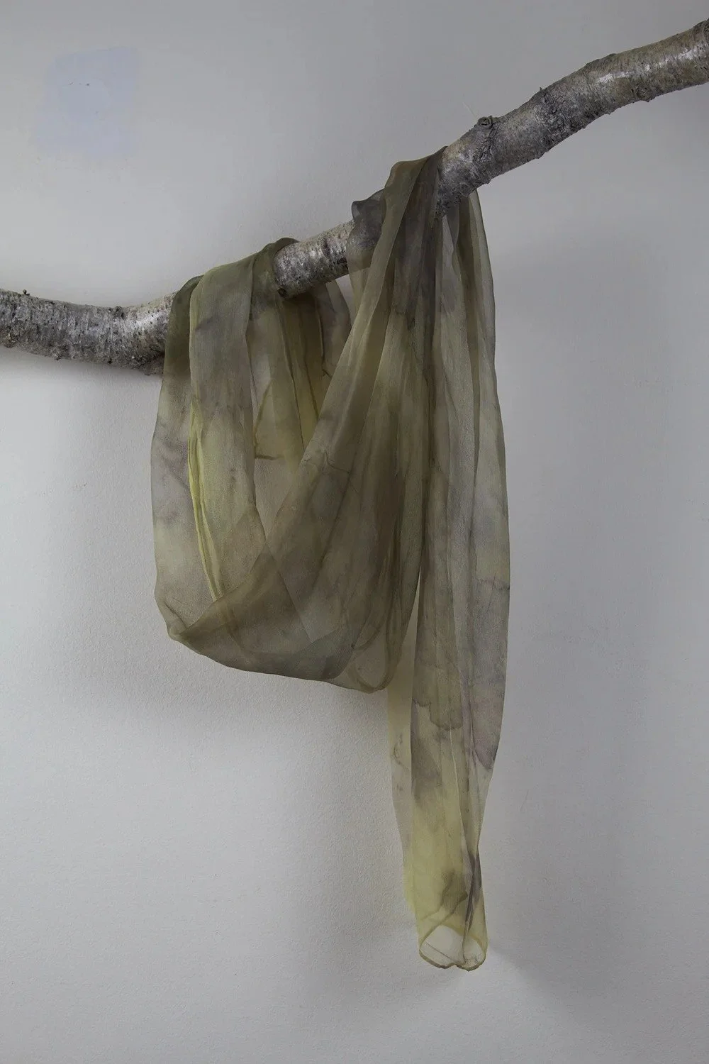 Scarf 6