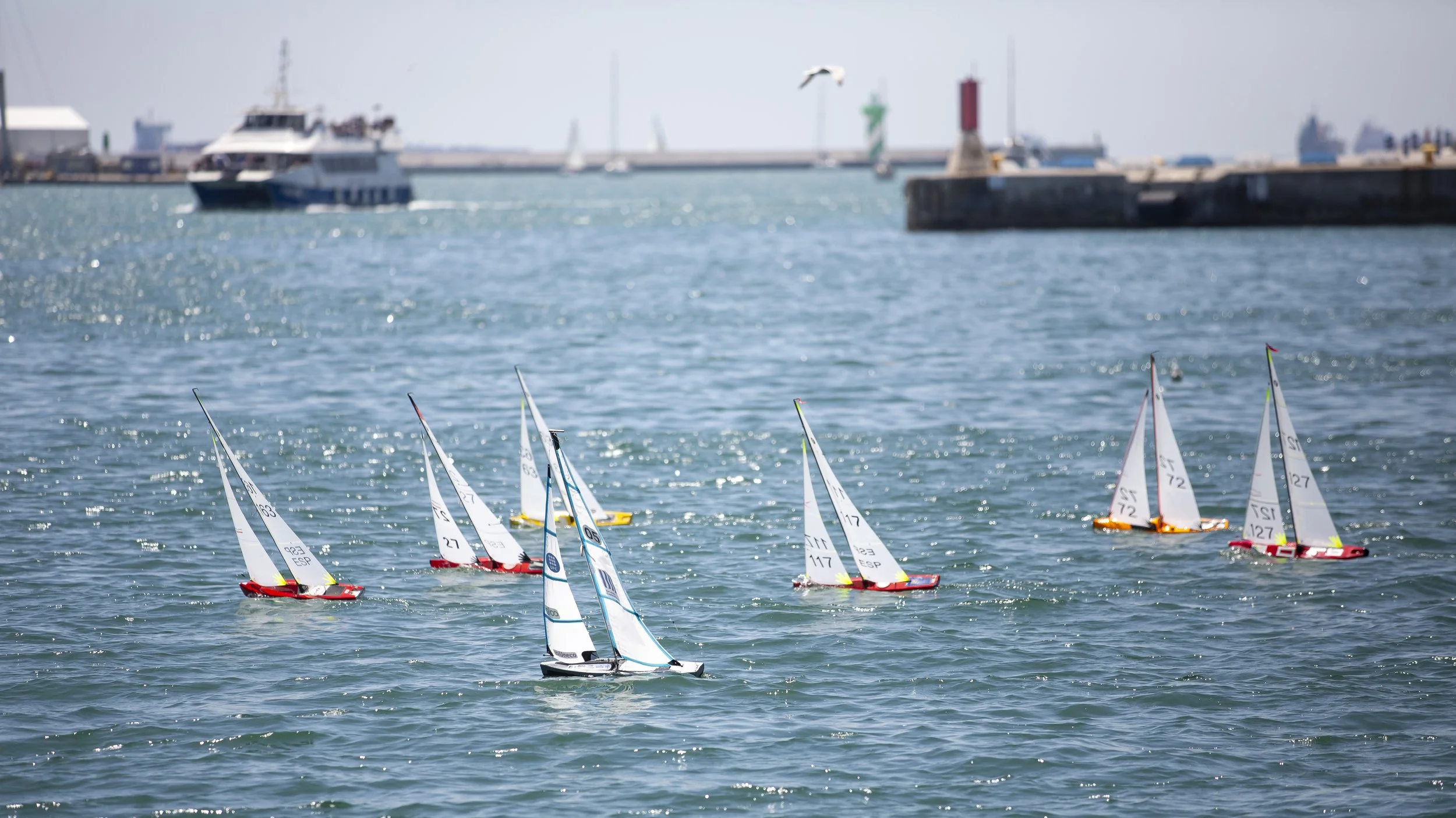 RC Sailing Barcelona_prensa_alta-1536.jpg