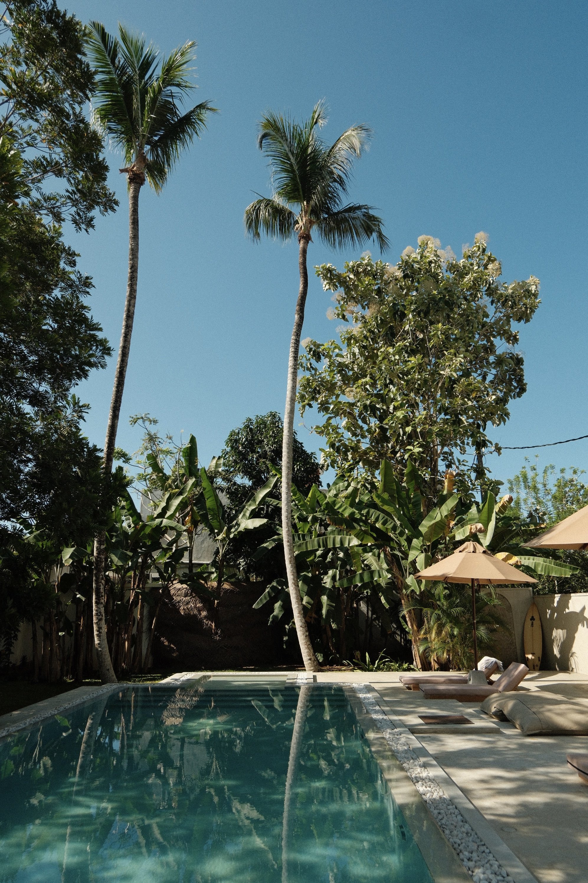 Quiet moments around the swimming pool