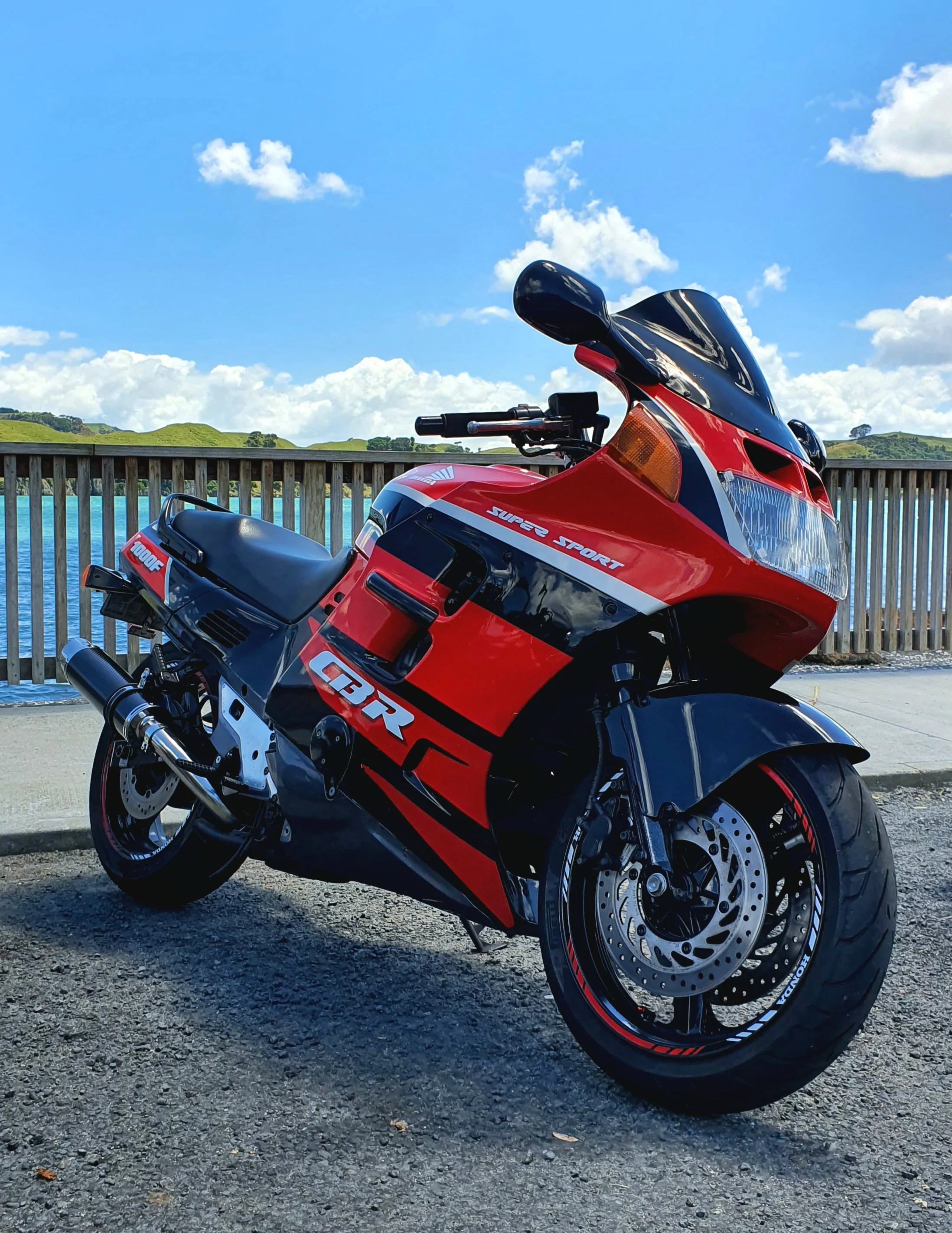 Honda CBR1000F portrait