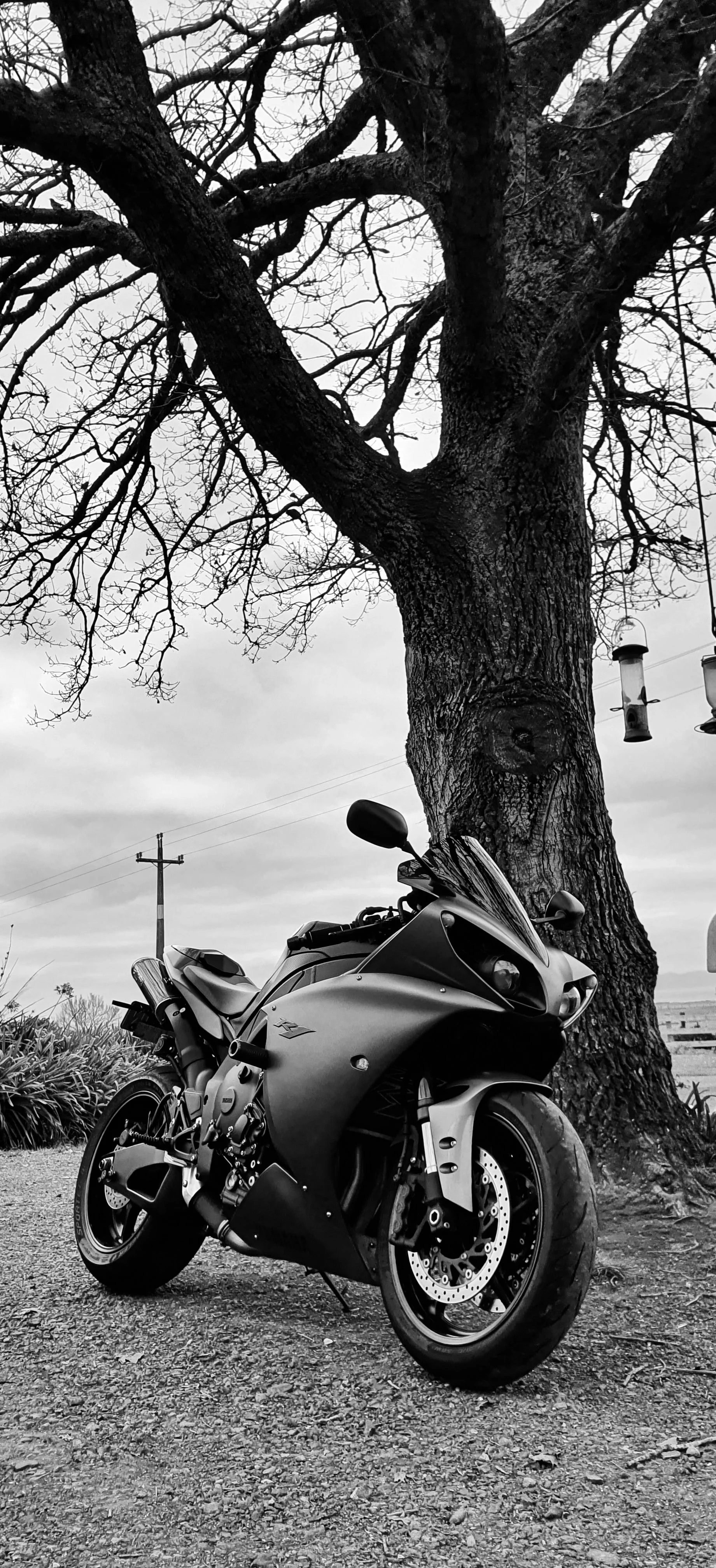 A motorcycle parked next to a large, leafless tree under cloudy skies.