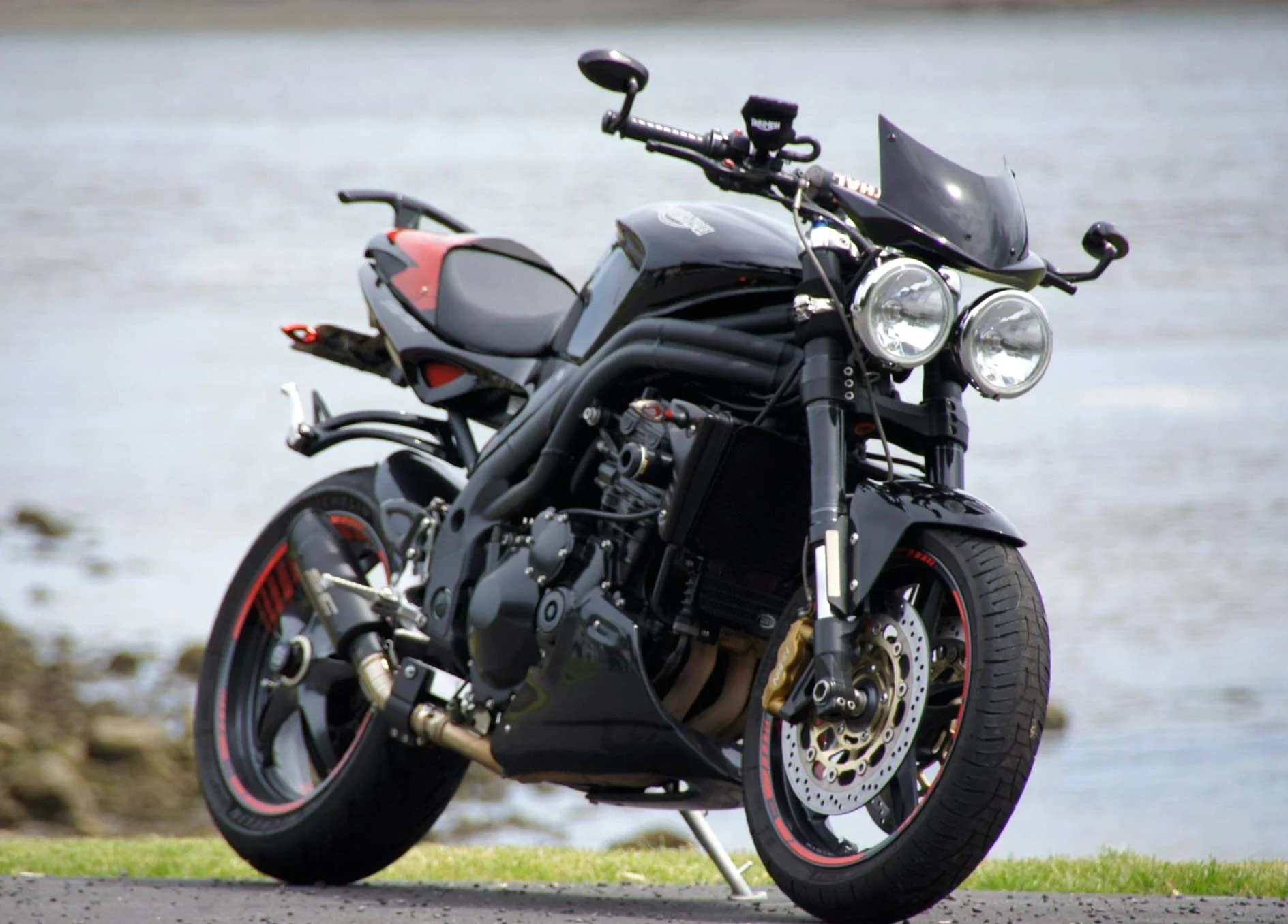 Speed Triple 1050 portrait