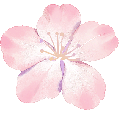 Fleur de cerisier rose pastel