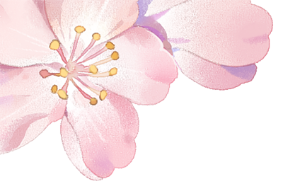 Fleur de cerisier en pastel rosa clair