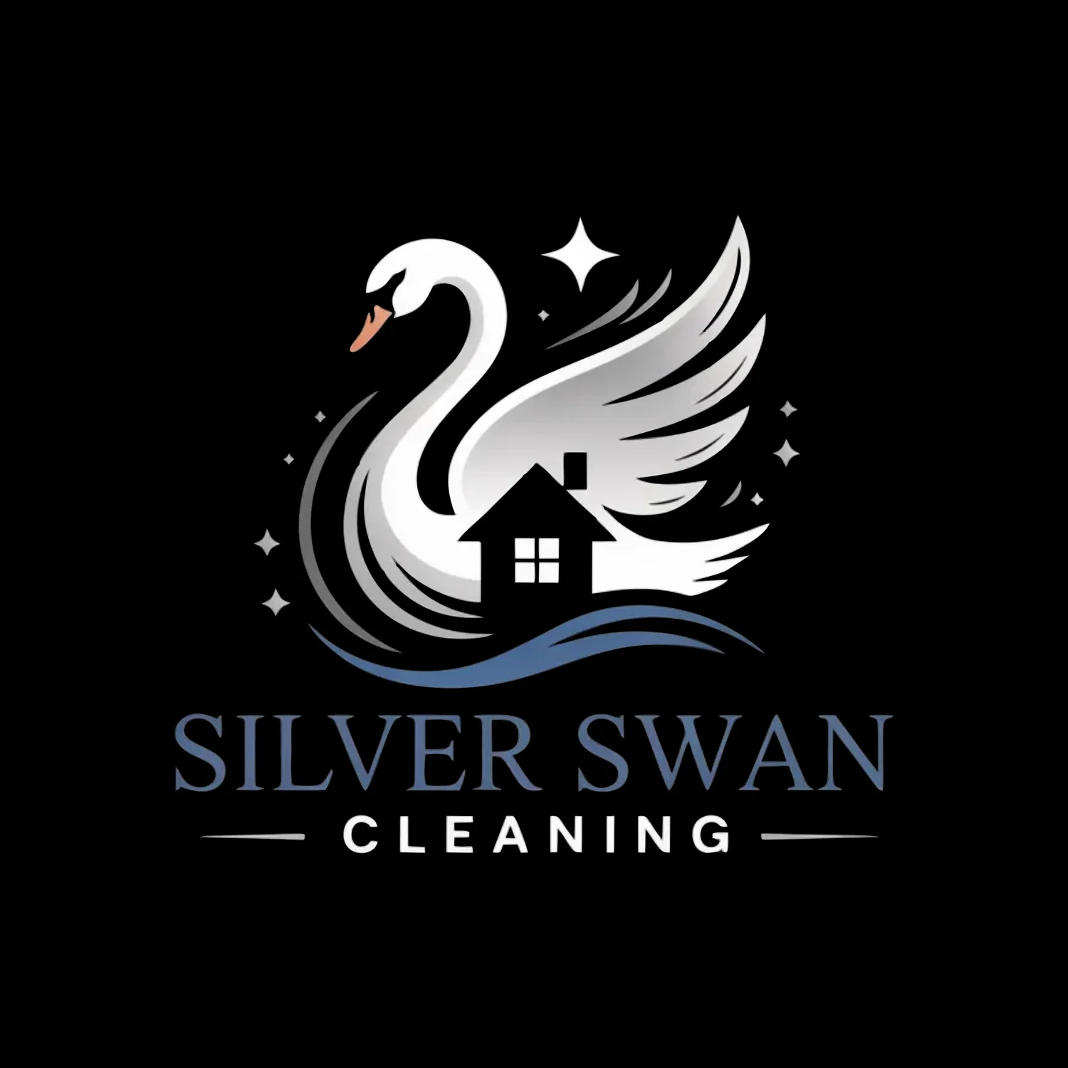 Silver Swan Cleaning