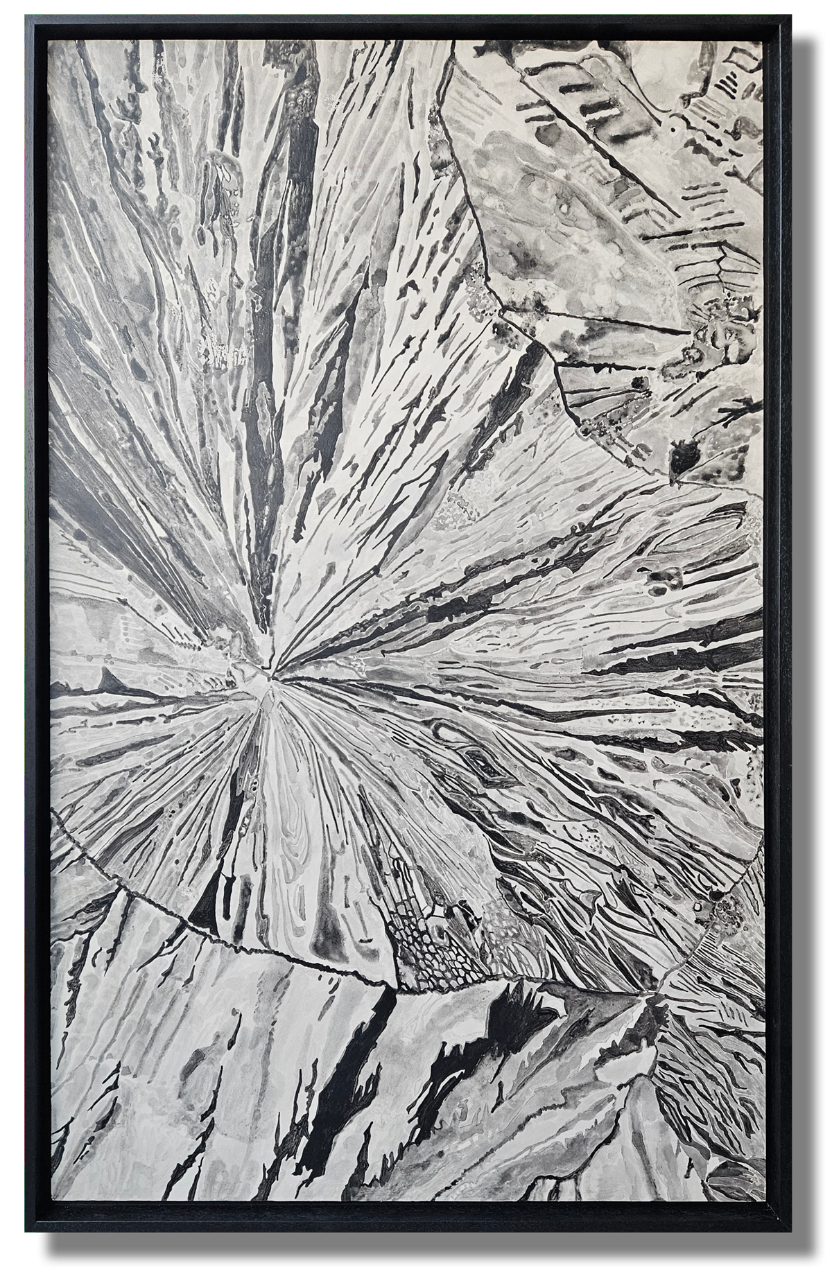 Black and white abstract artwork resembling a close-up of a tree cross-section with radiating lines and detailed textures.