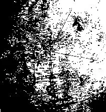 Black and white photo of a boat on a river with trees on both sides