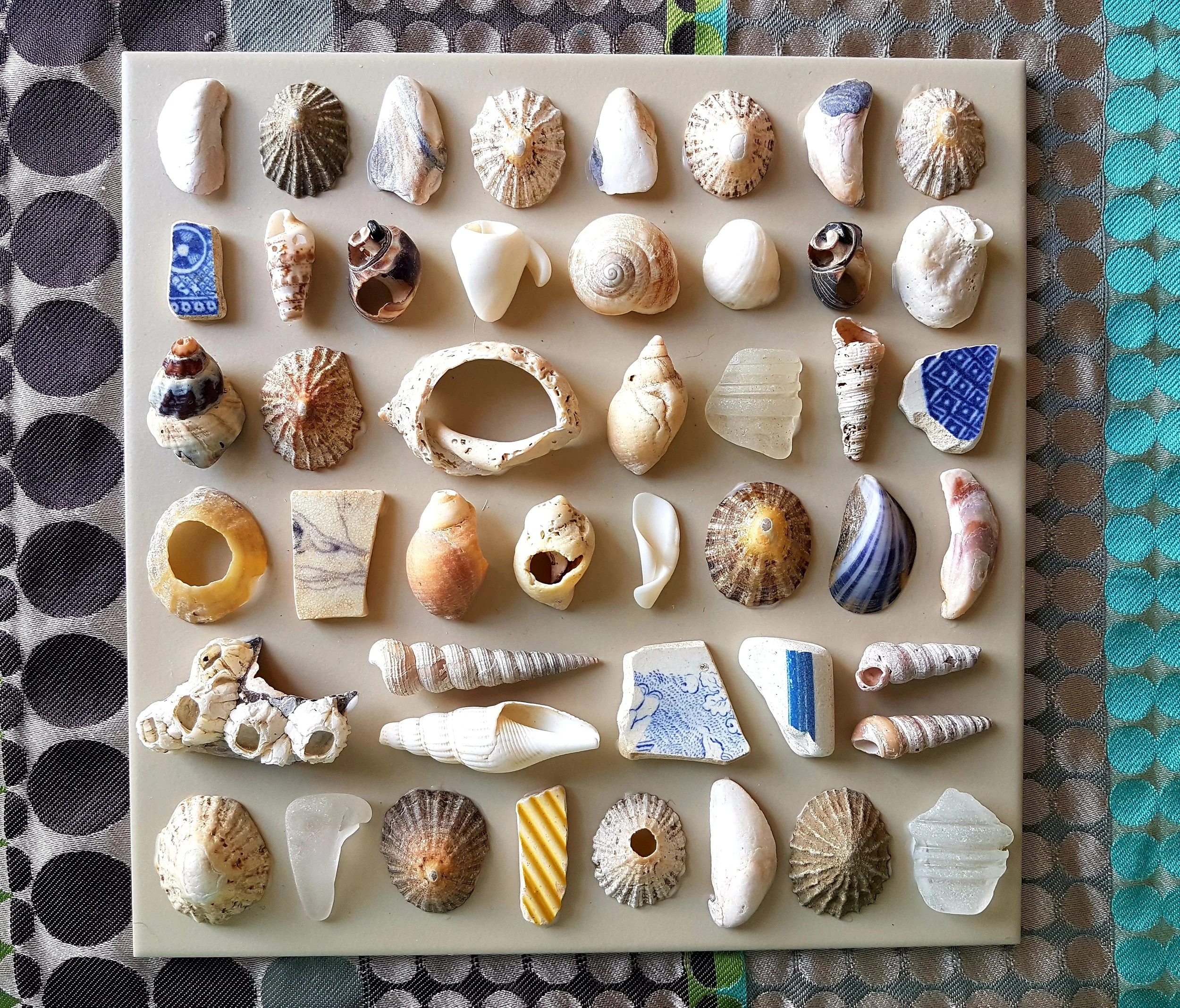 Sea Shells, 2023
