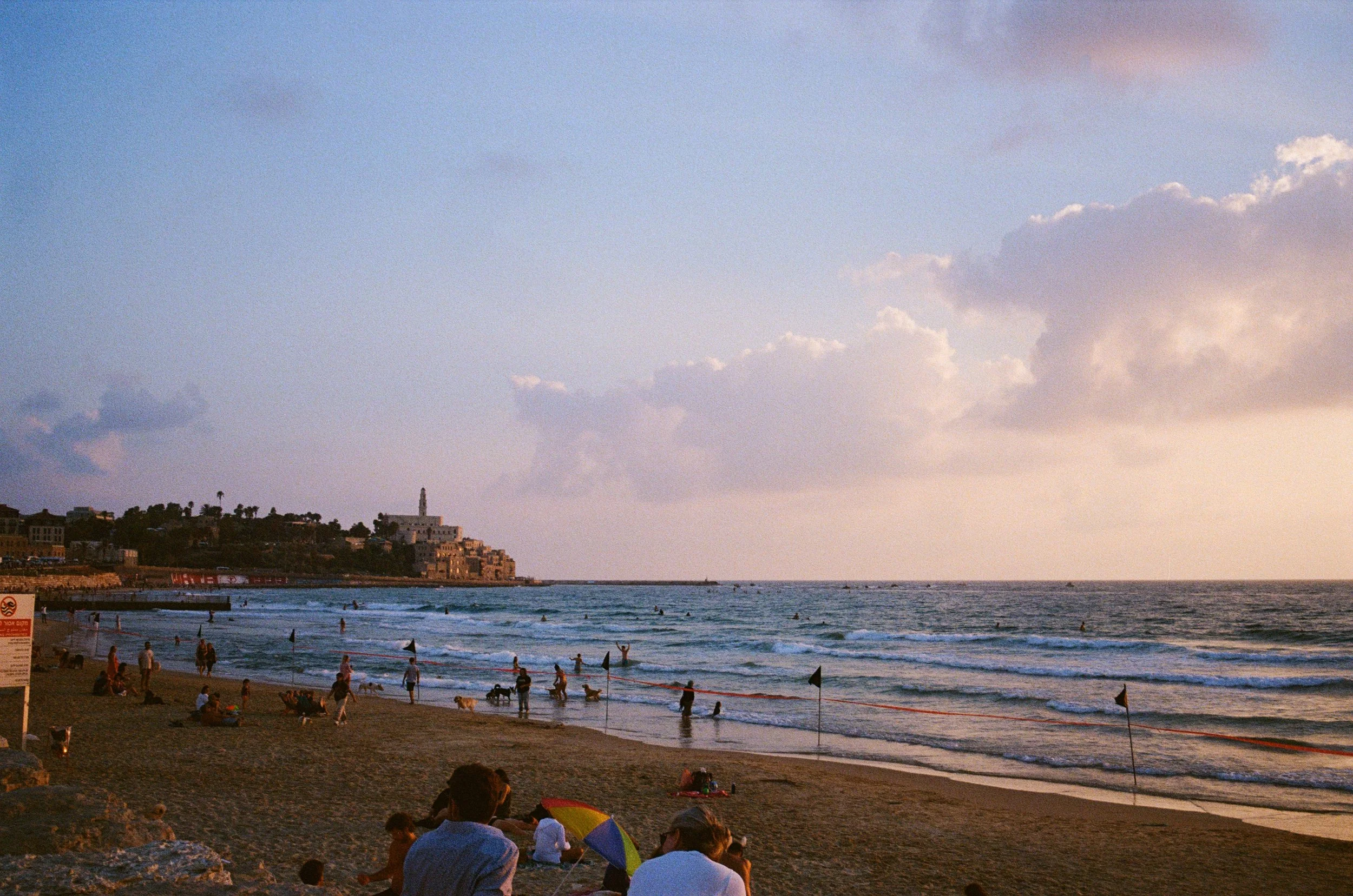 0034-808dc.jpg
