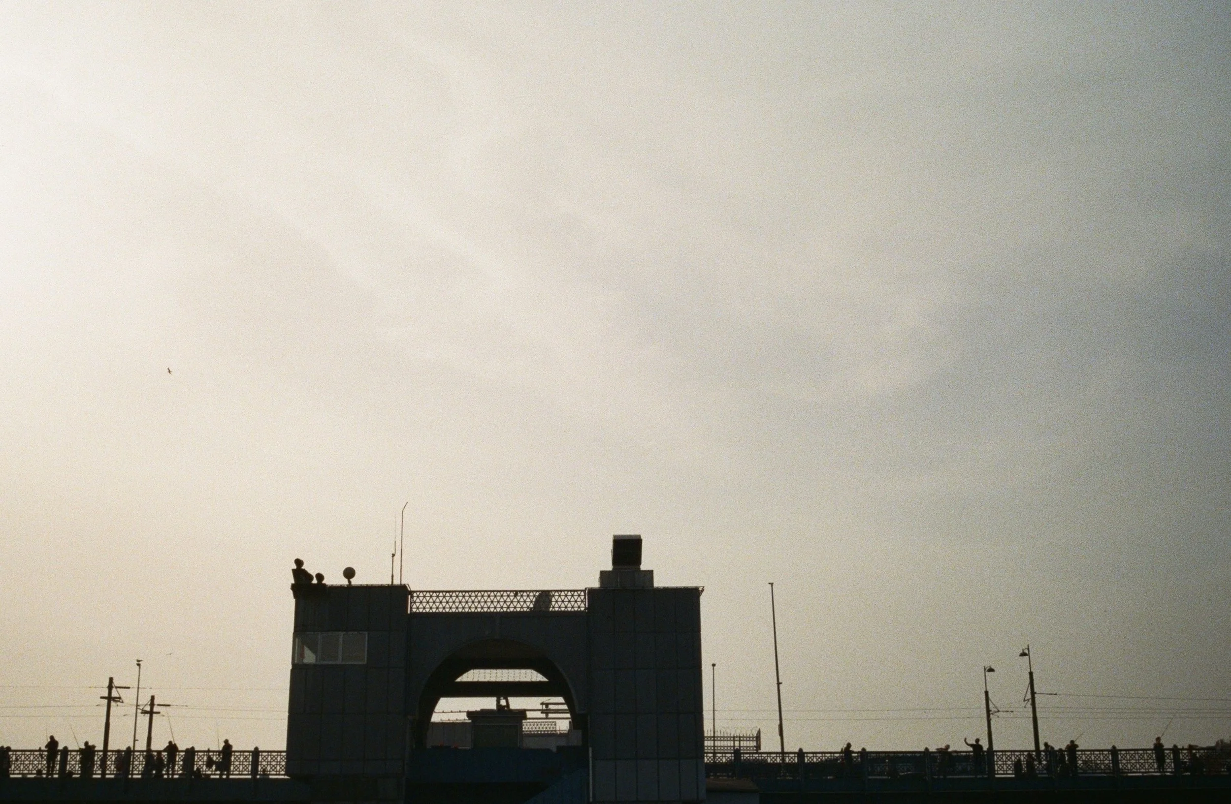 000260410019 1.jpg