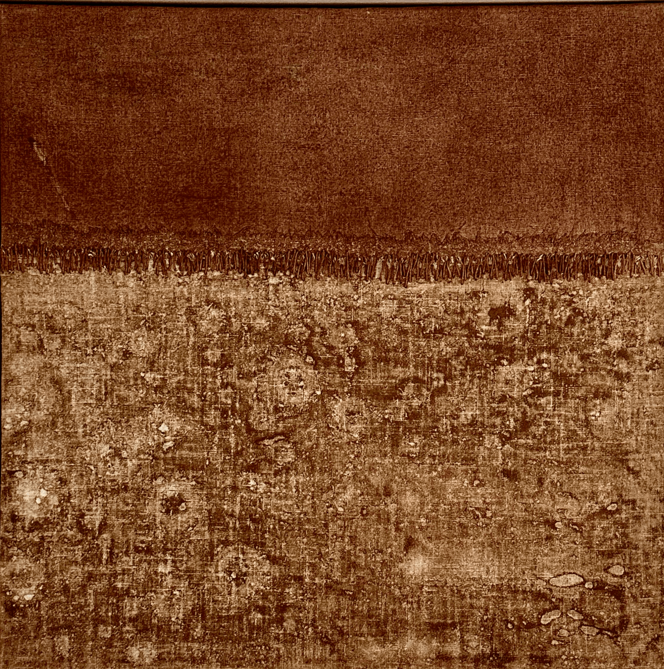 Field of Rust