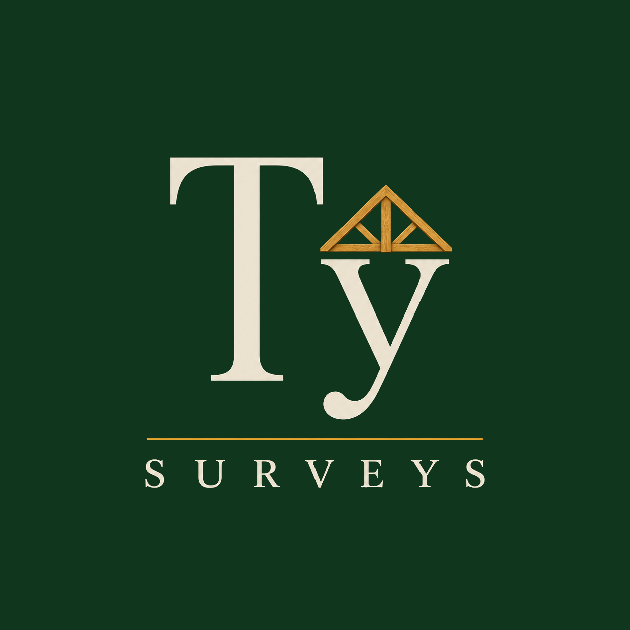 Tŷ Surveys