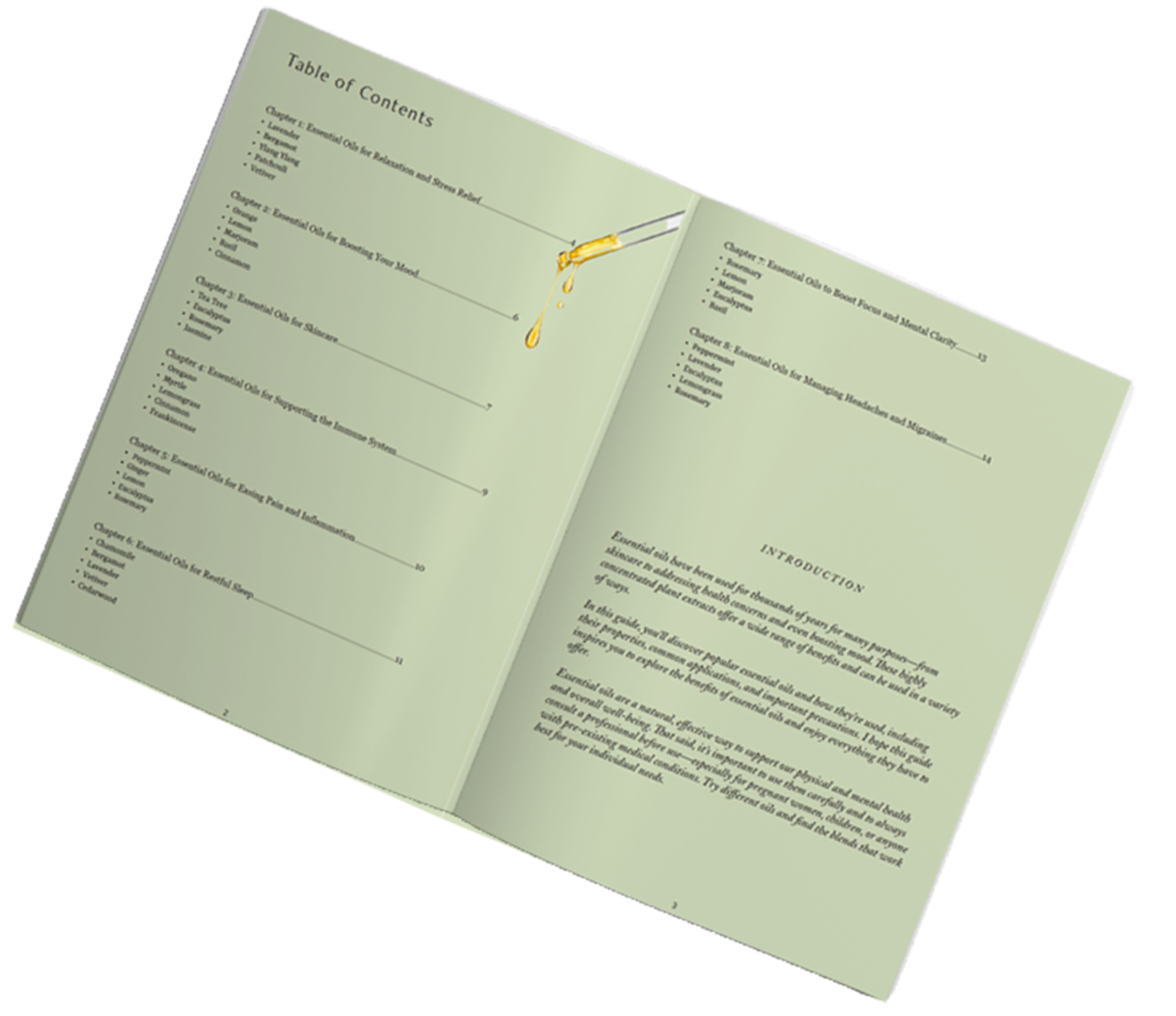 www.fofobilala.dk Fofo Bilala Design & Advertising- Informative and promotional brochure designs created to communicate your services, products or business in a clear and professional way.