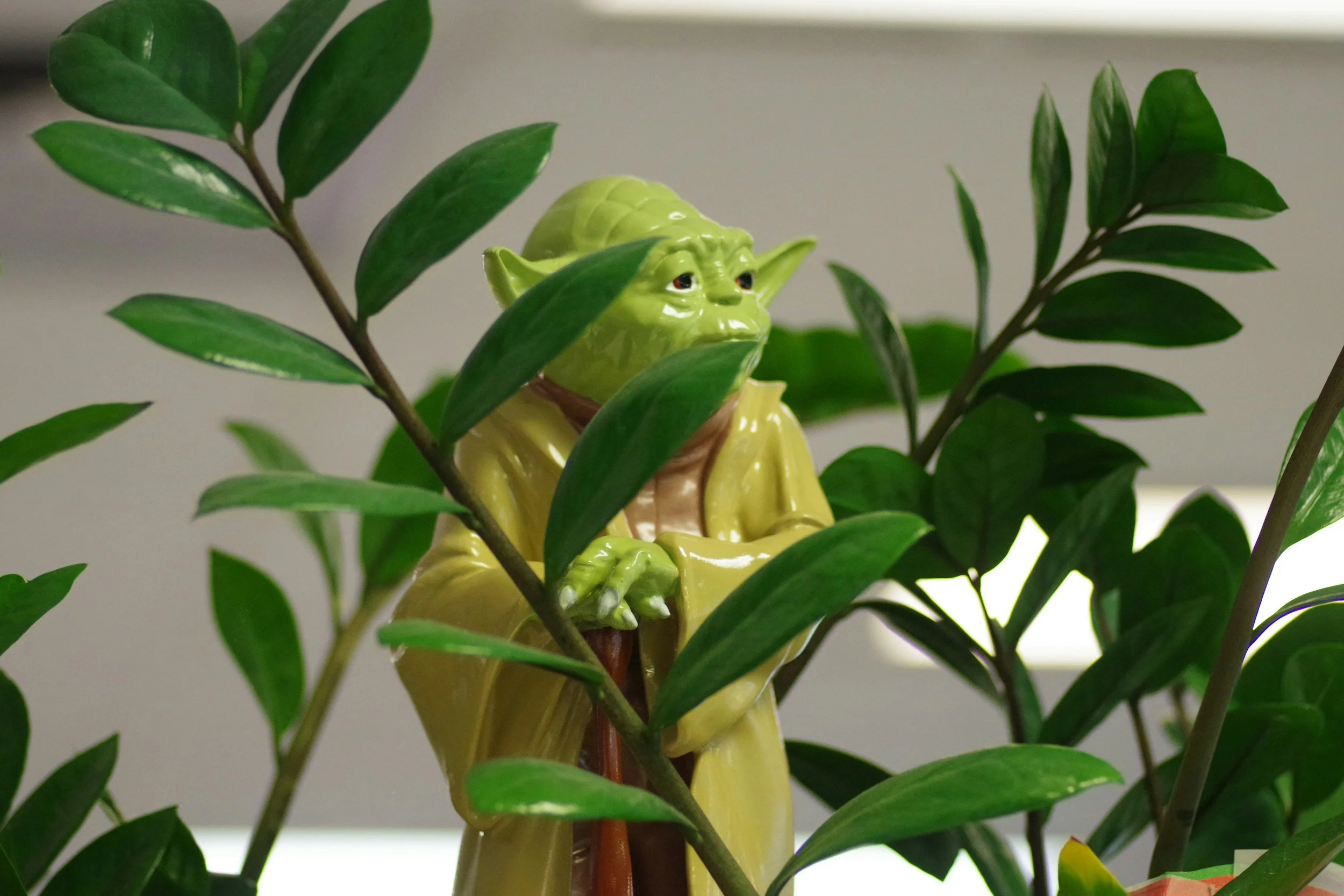 A decorative figure resembling Yoda from Star Wars, green with pointed ears, sitting among green leaves of a plant.