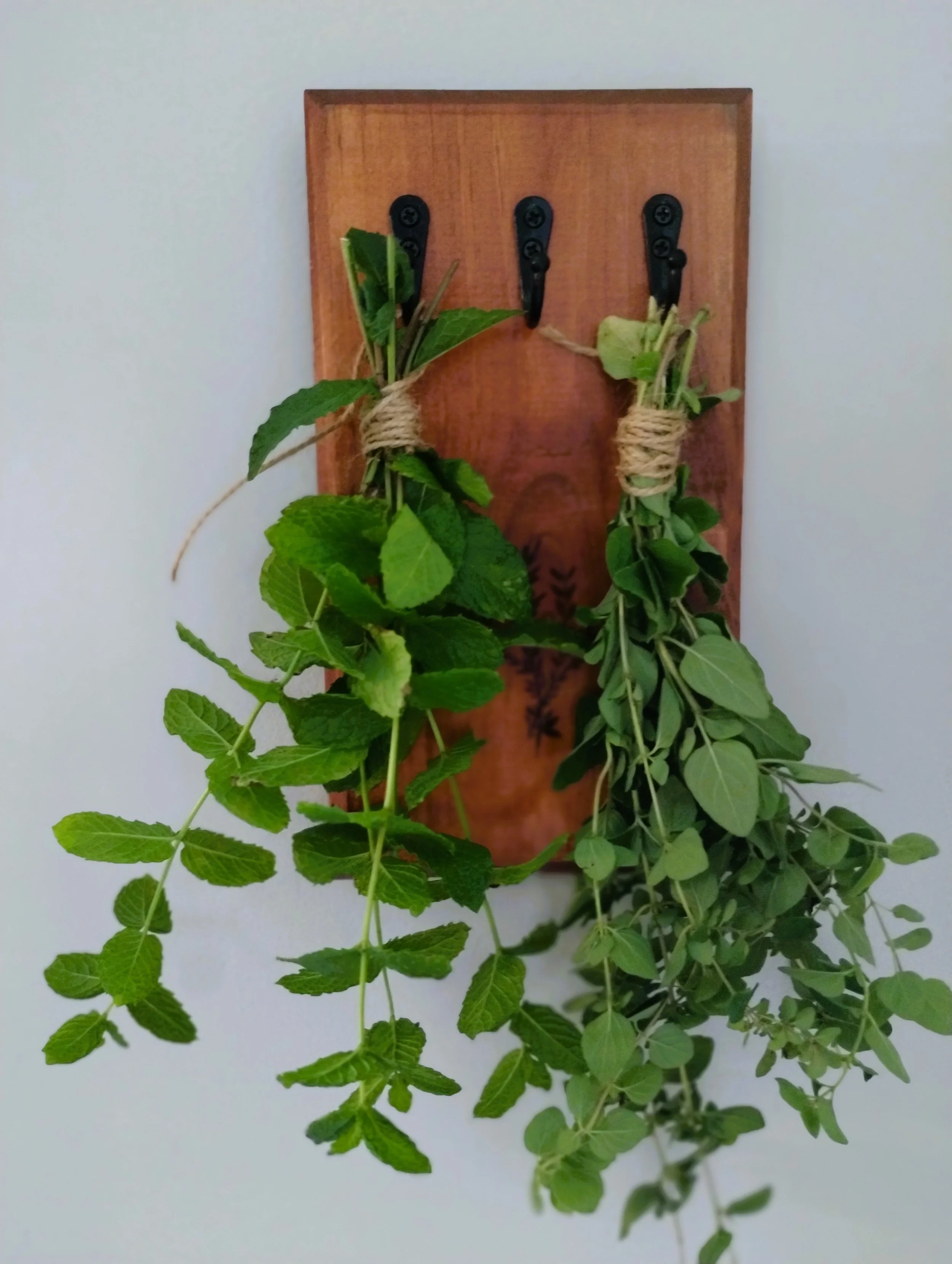 Fresh bundles of mint and oregano tied with twine and hanging upside down from a wooden wall-mounted herb drying rack.