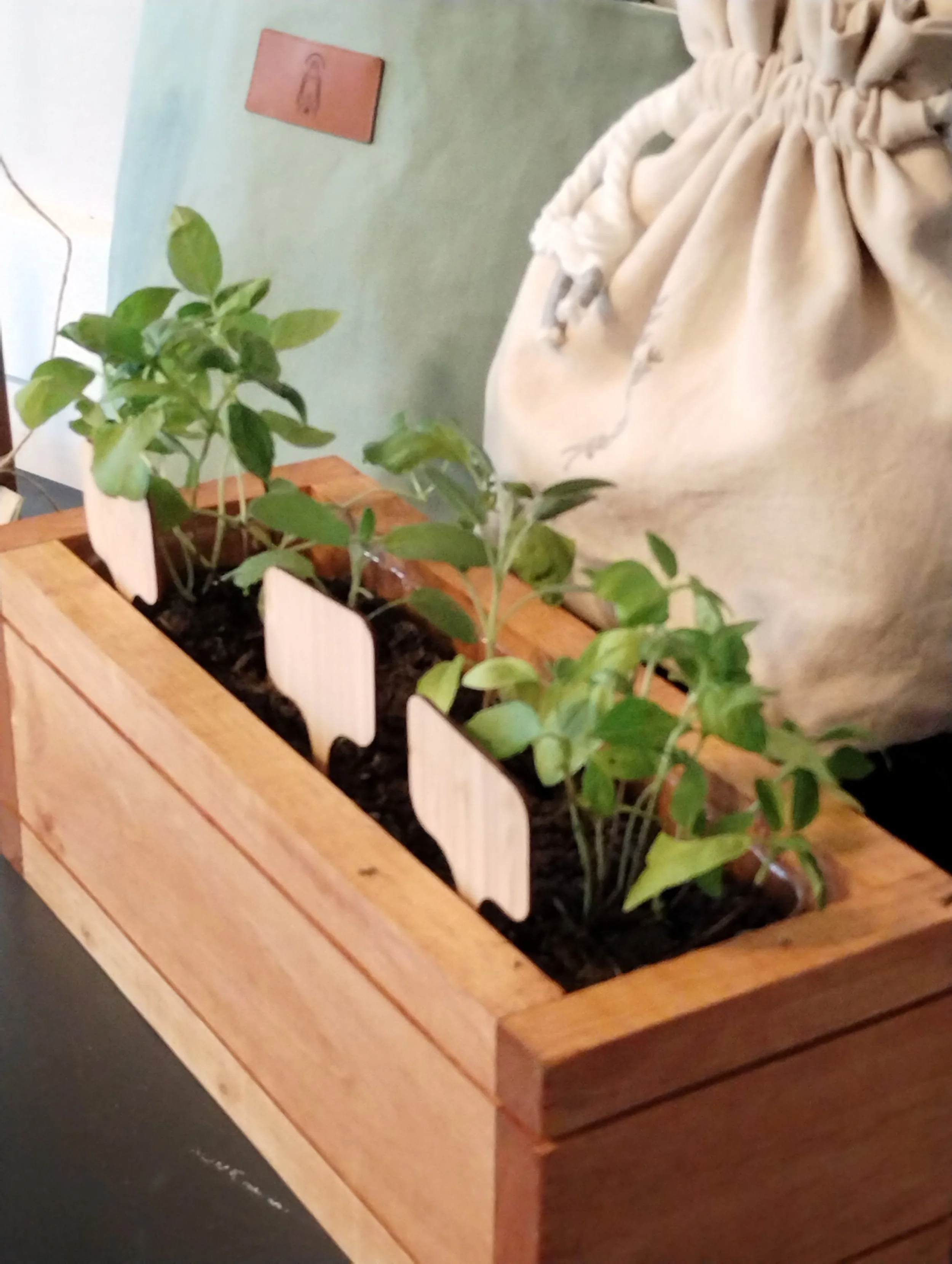 Wood planter demonstrated with live herbs and wood plant markers and a natural color canvas drawstring pouch