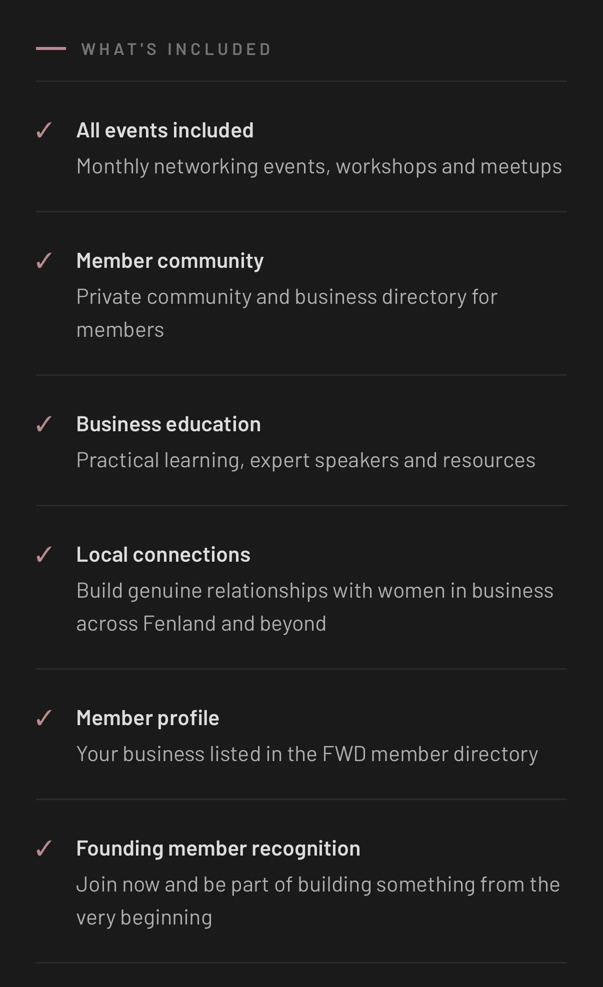 Screenshot of a list of included features for a business networking group, with items such as events, community, education, connections, profiles, and recognition, marked with checkmarks.