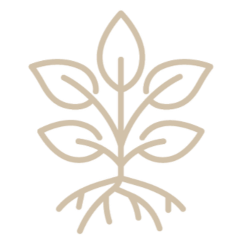 Integrate & Ground: I anchor the new frequencies into the physical, wrap you up in a bright protective field and carry out a sacred disconnection to ensure you feel stable and safe.
