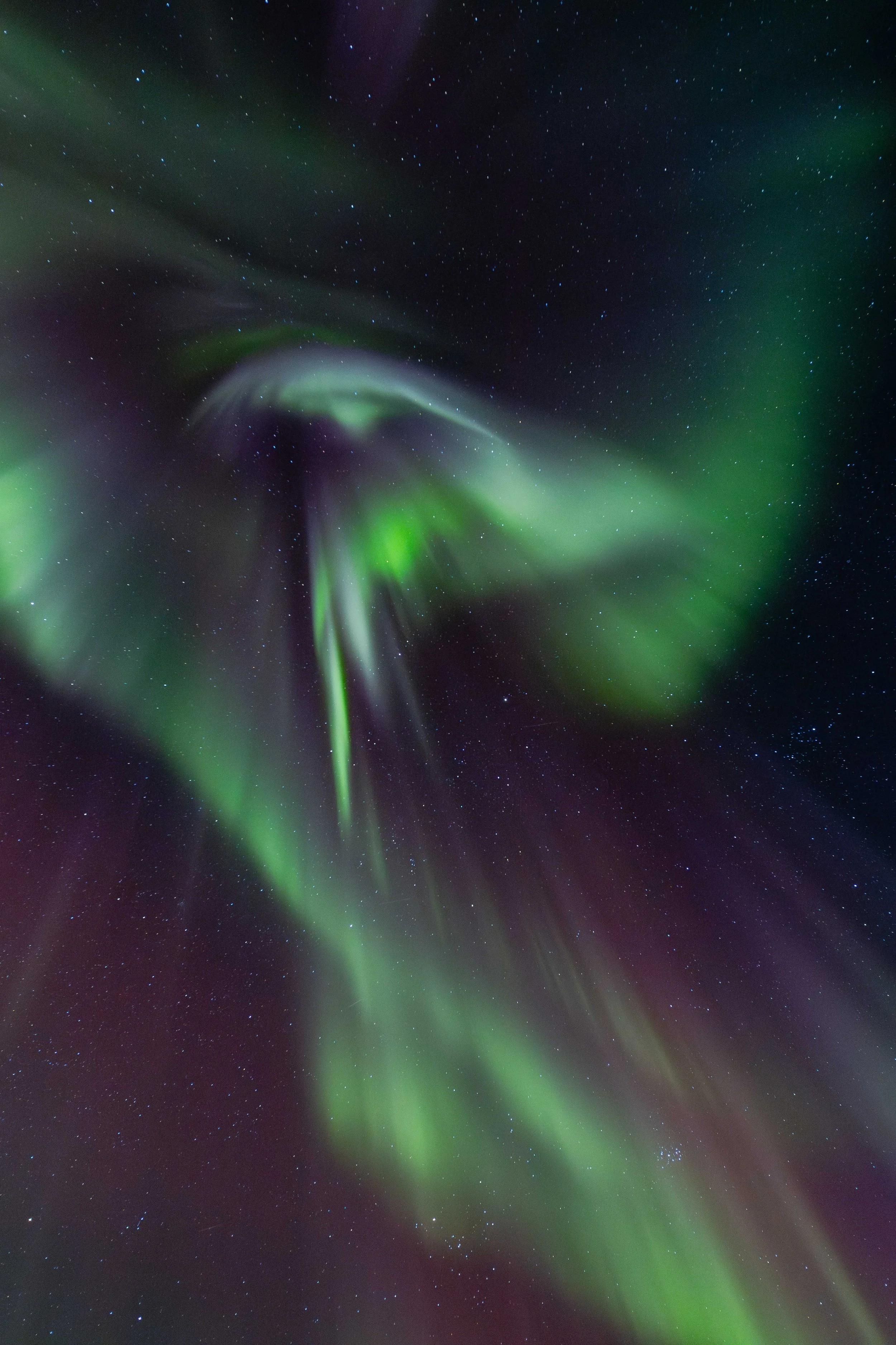 Fotografía de aurora boreal con forma de ave fenix, capturando el movimiento natural de las luces del norte en una noche clara.
