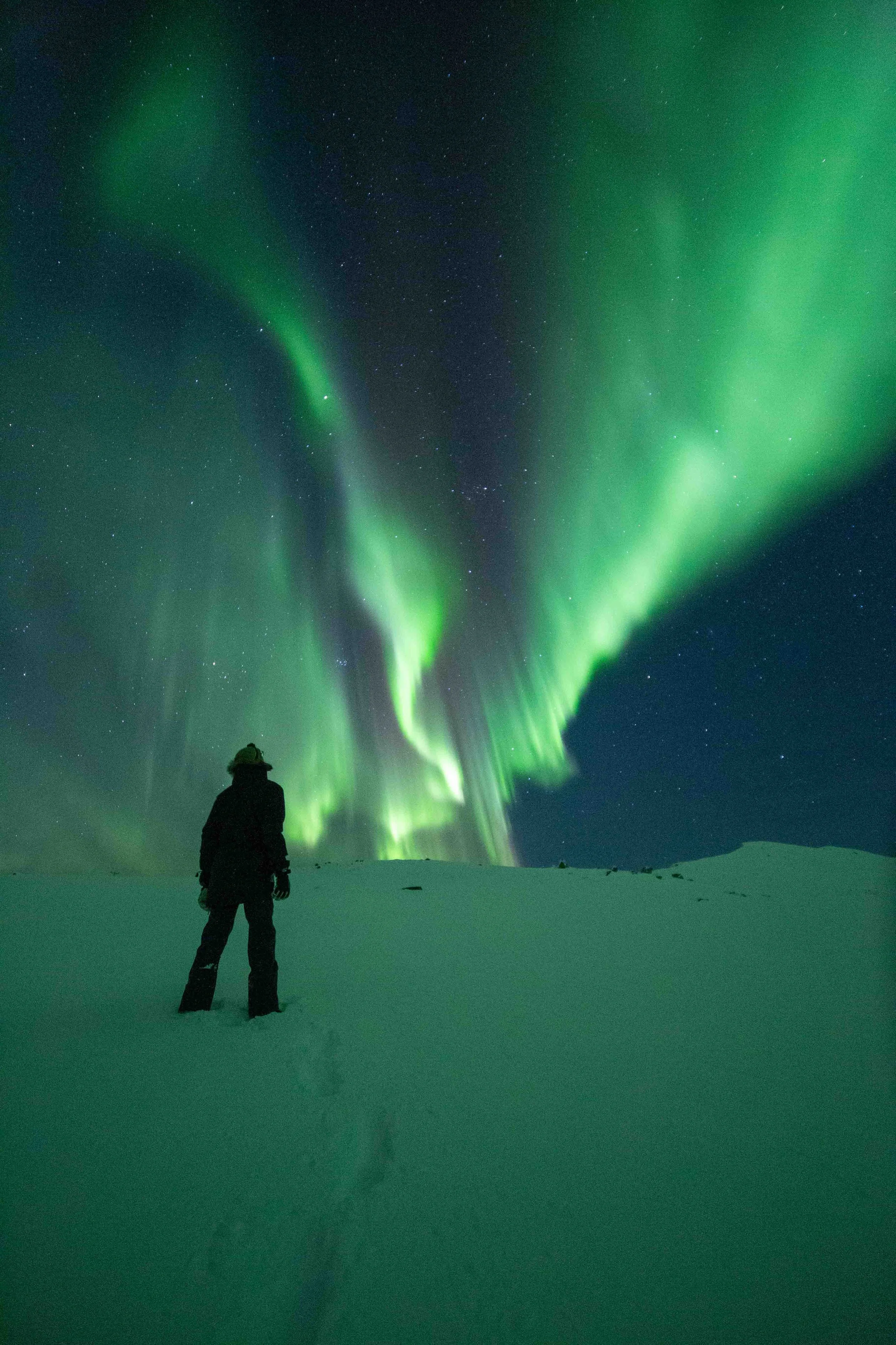 Persona observando las auroras boreales en un paisaje nevado oscuro.