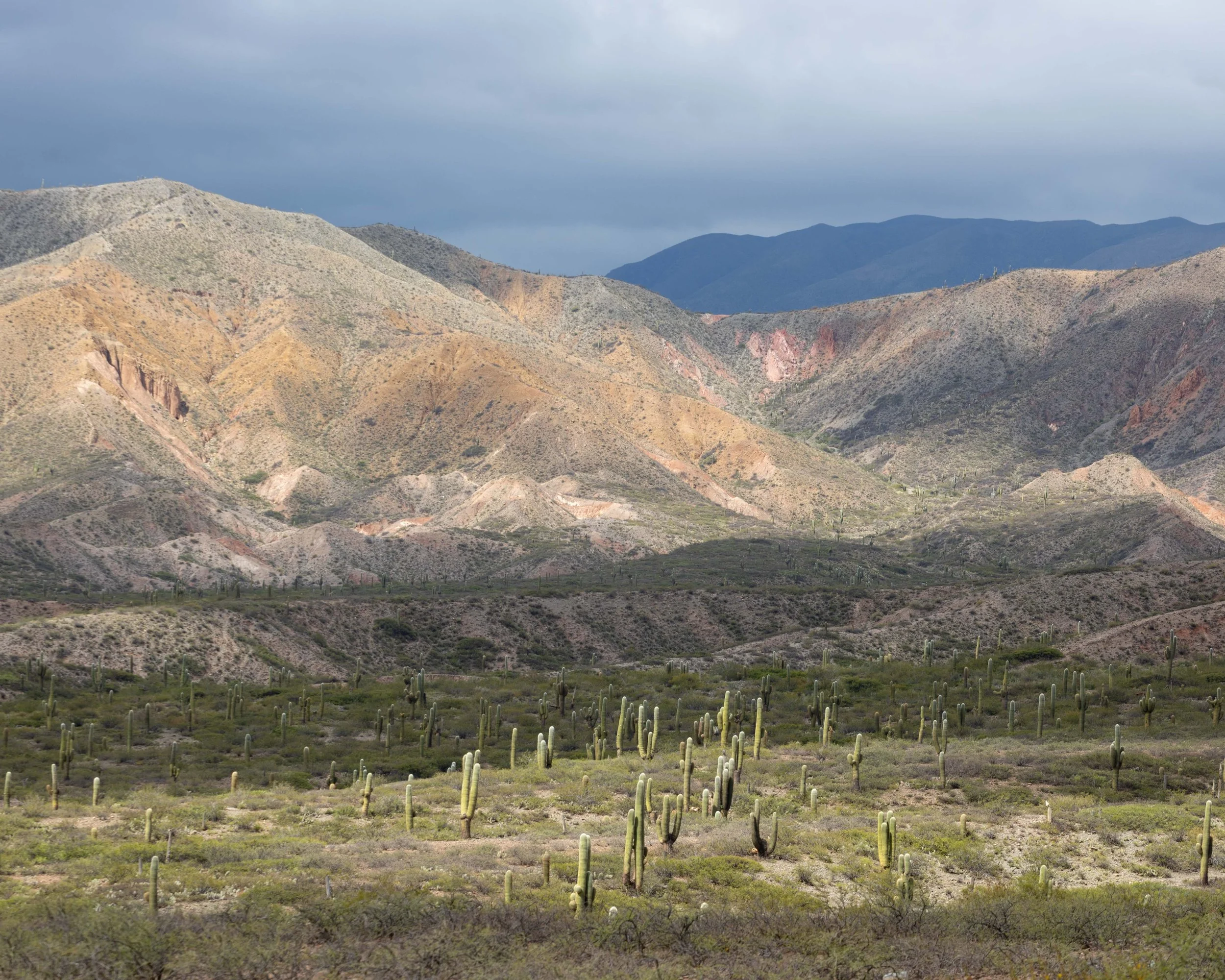 Fotografía de paisaje del norte de Argentina con cardones, montañas de tonos ocres y grises, luz cambiante y cielo dramático antes de la tormenta.