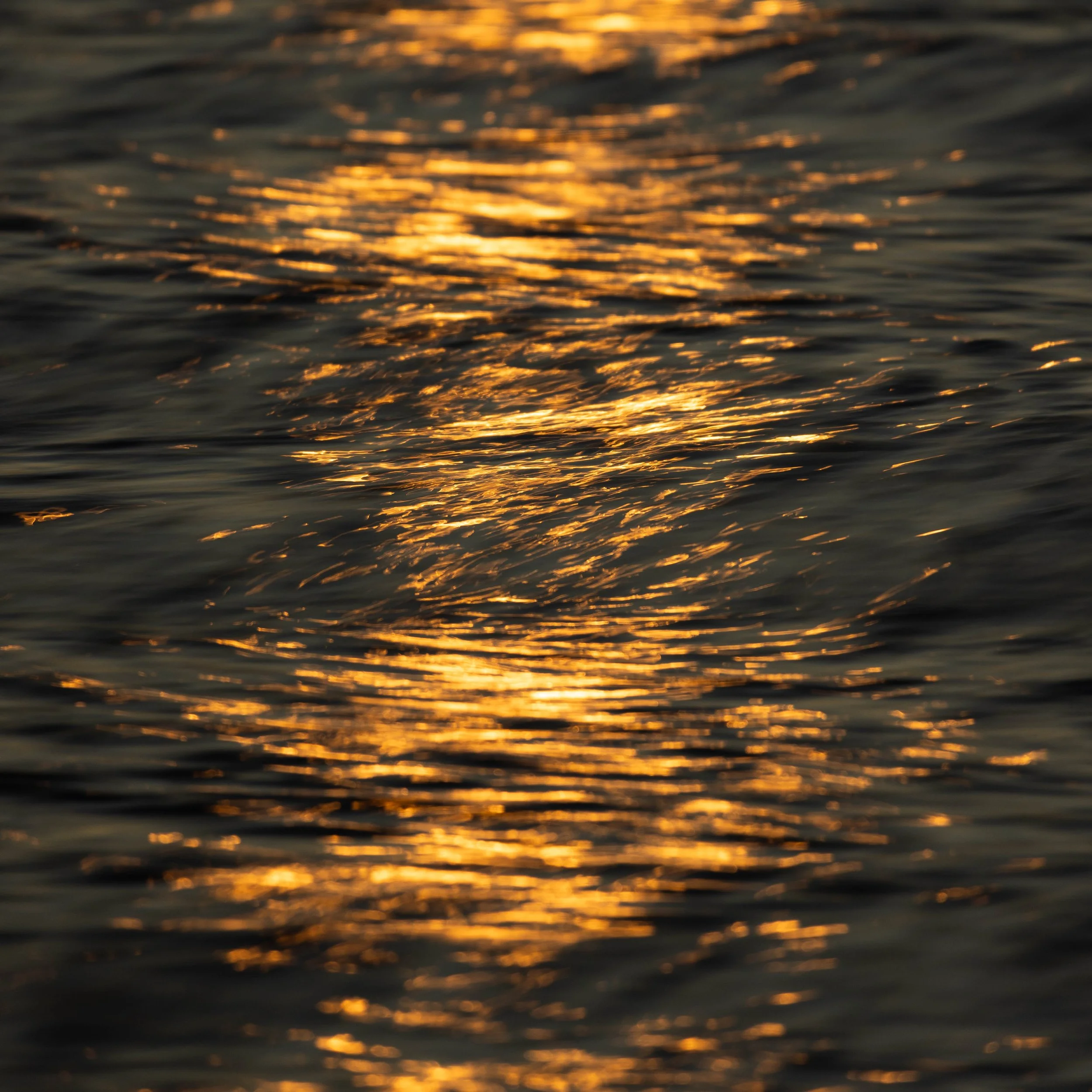 Fotografía abstracta de reflejos dorados sobre el agua, capturando la luz del sol en movimiento sobre una superficie oscura y ondulada.