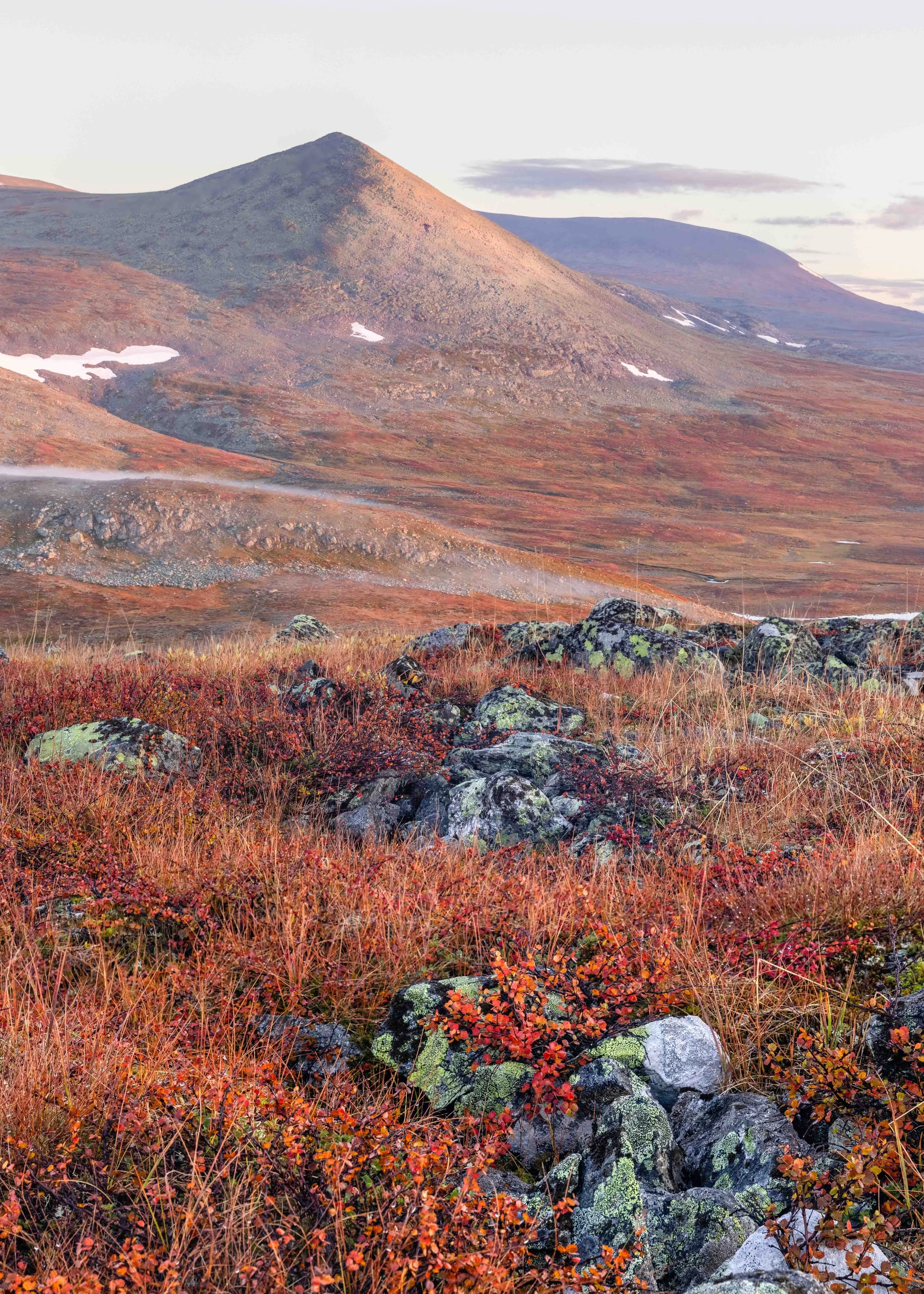 Fotografía vertical de paisaje otoñal en la tundra nórdica, con vegetación roja, líquenes, rocas y montañas suaves bajo una luz del amanecer.